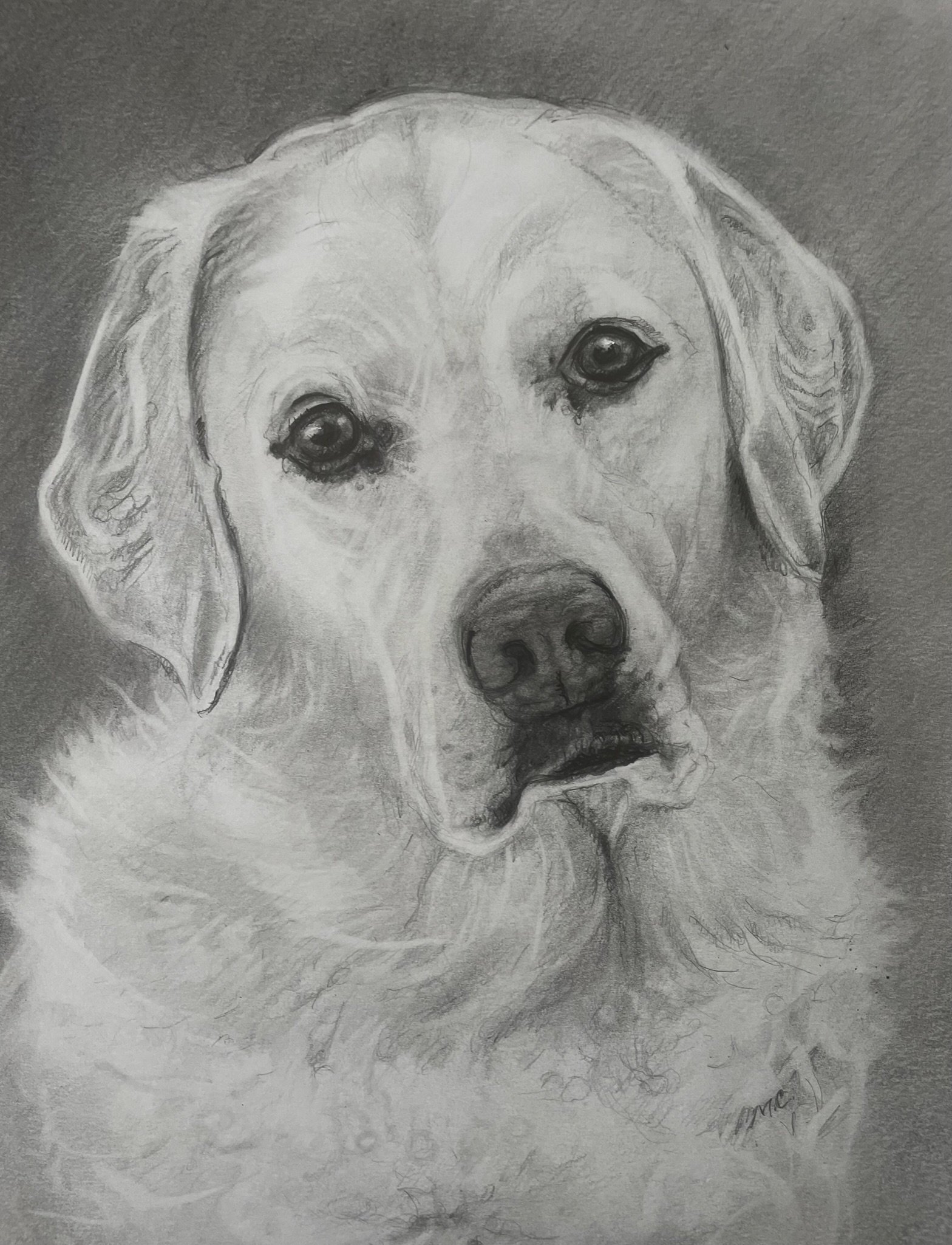 FullSizeRender 8.jpeg