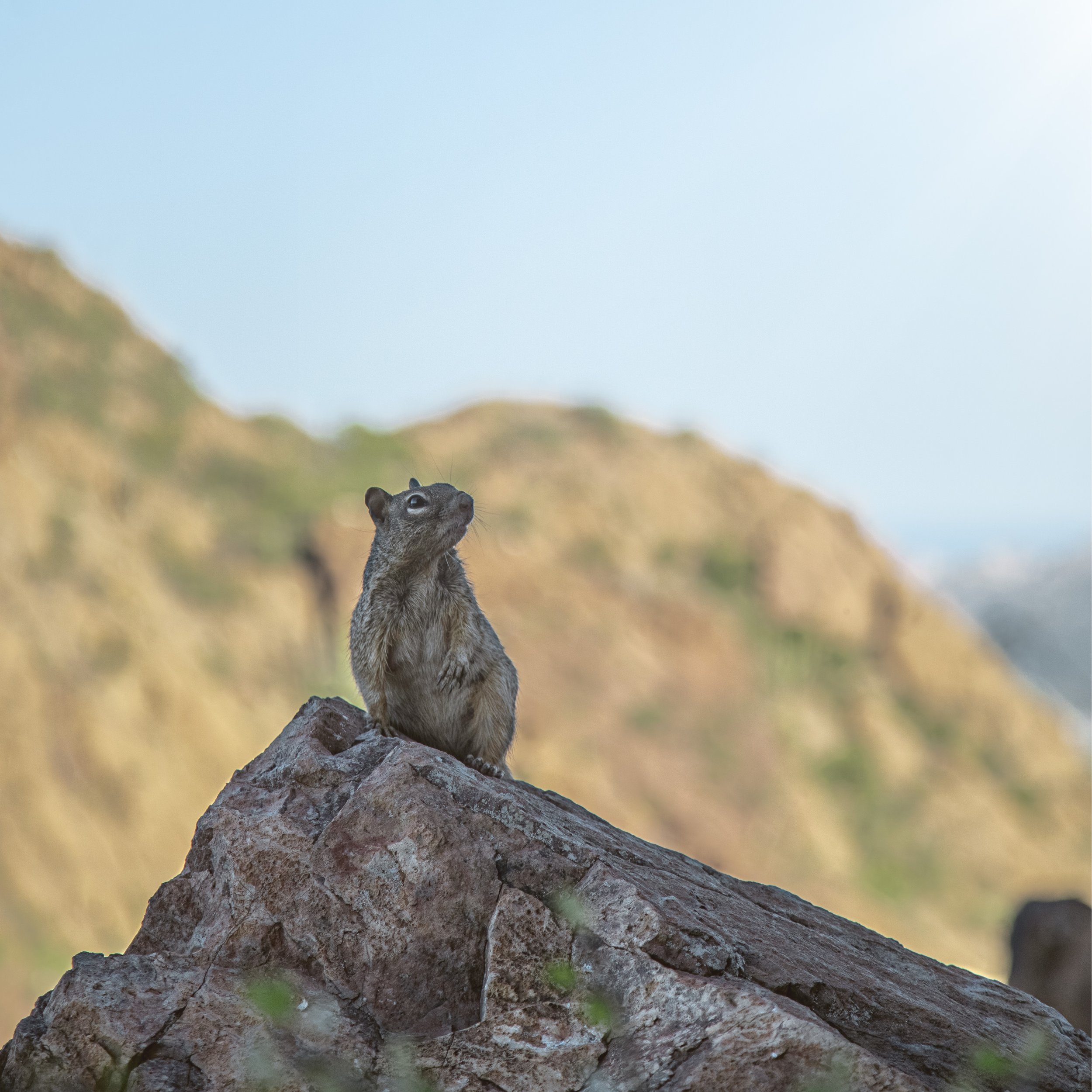 VID00043-HDR_1.jpg