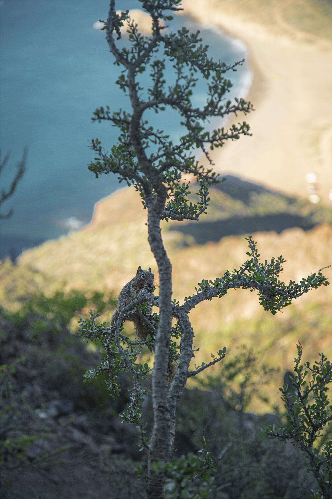 VID00038-HDR_2.jpg