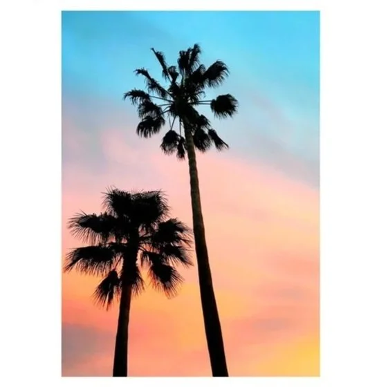 pastel+palms.jpg