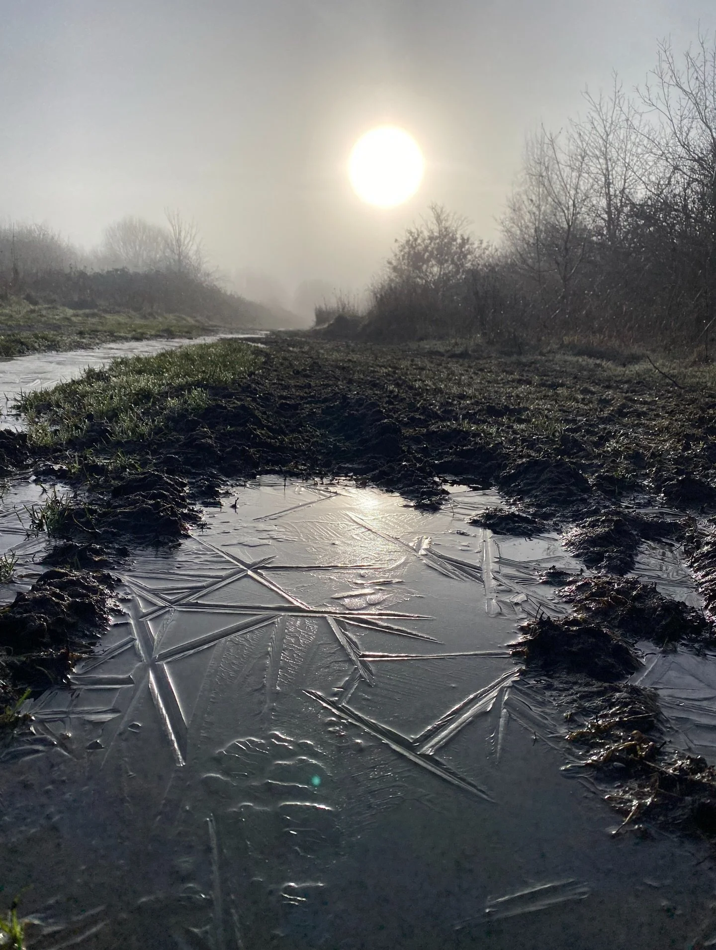 Imbolc
The first stirrings, the space in between winter and spring 

I can feel the Earth stirring beneath my feet, the land, the birds gently awakening here in the Northern Hemisphere 

It&rsquo;s beautiful 

Full Moon this Sunday. My last seasonal 