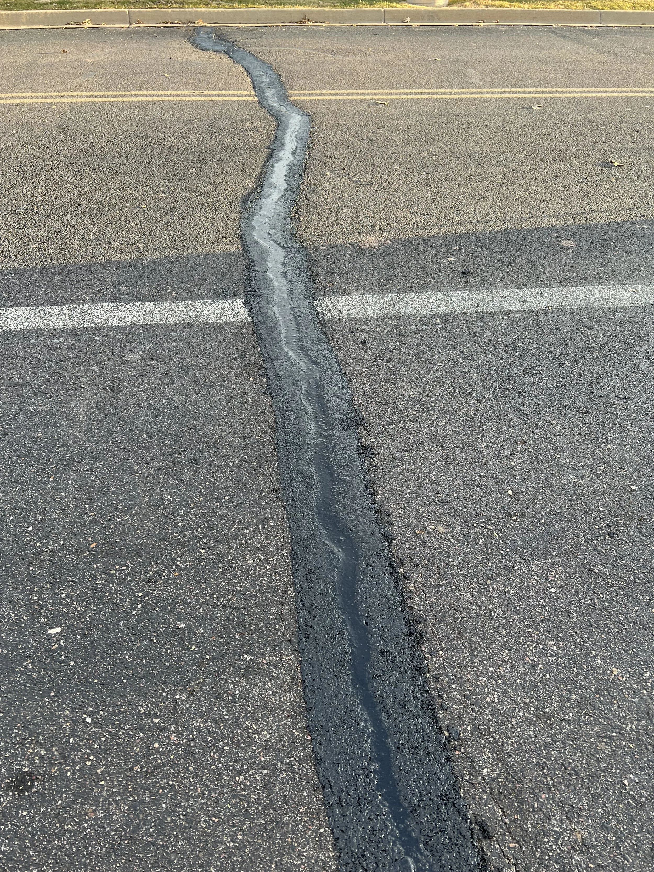 Large crackseal mastic repair Pueblo