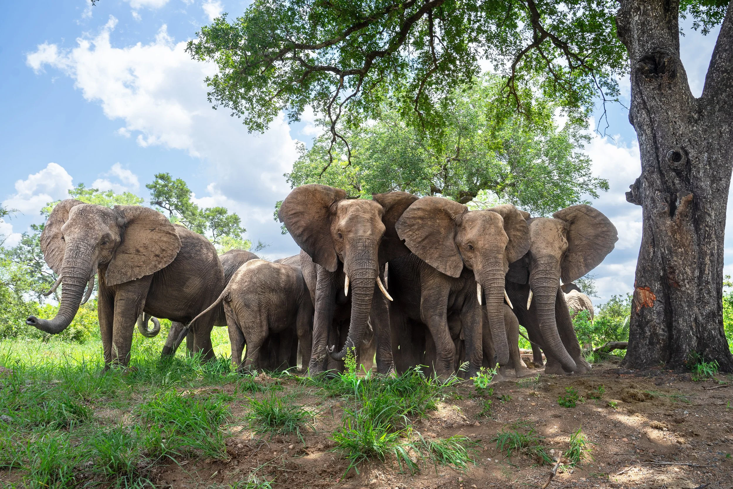 3. DSC01549 xx rz.jpg