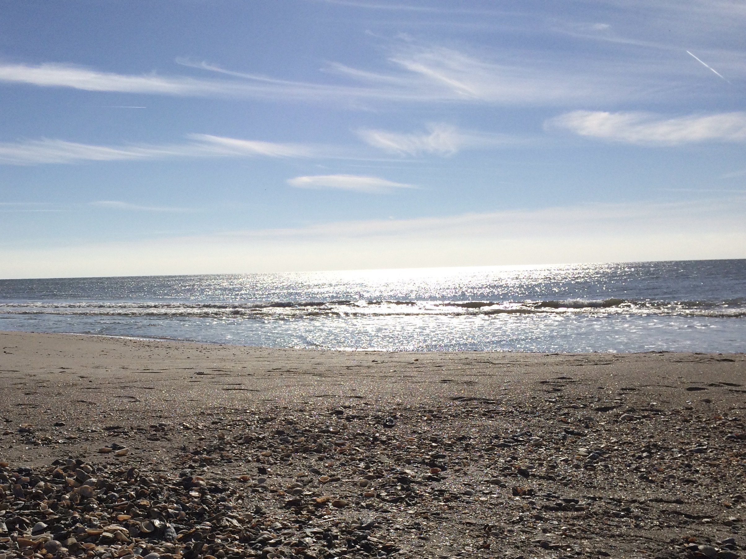 Knowledge is Freedom