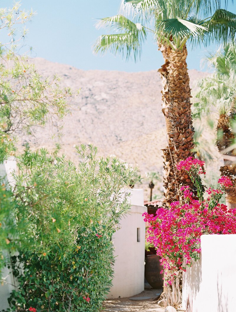 palm_springs_elopement_korakia-3.jpg