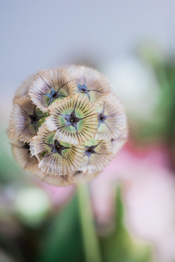 Spring Floral Inspiration