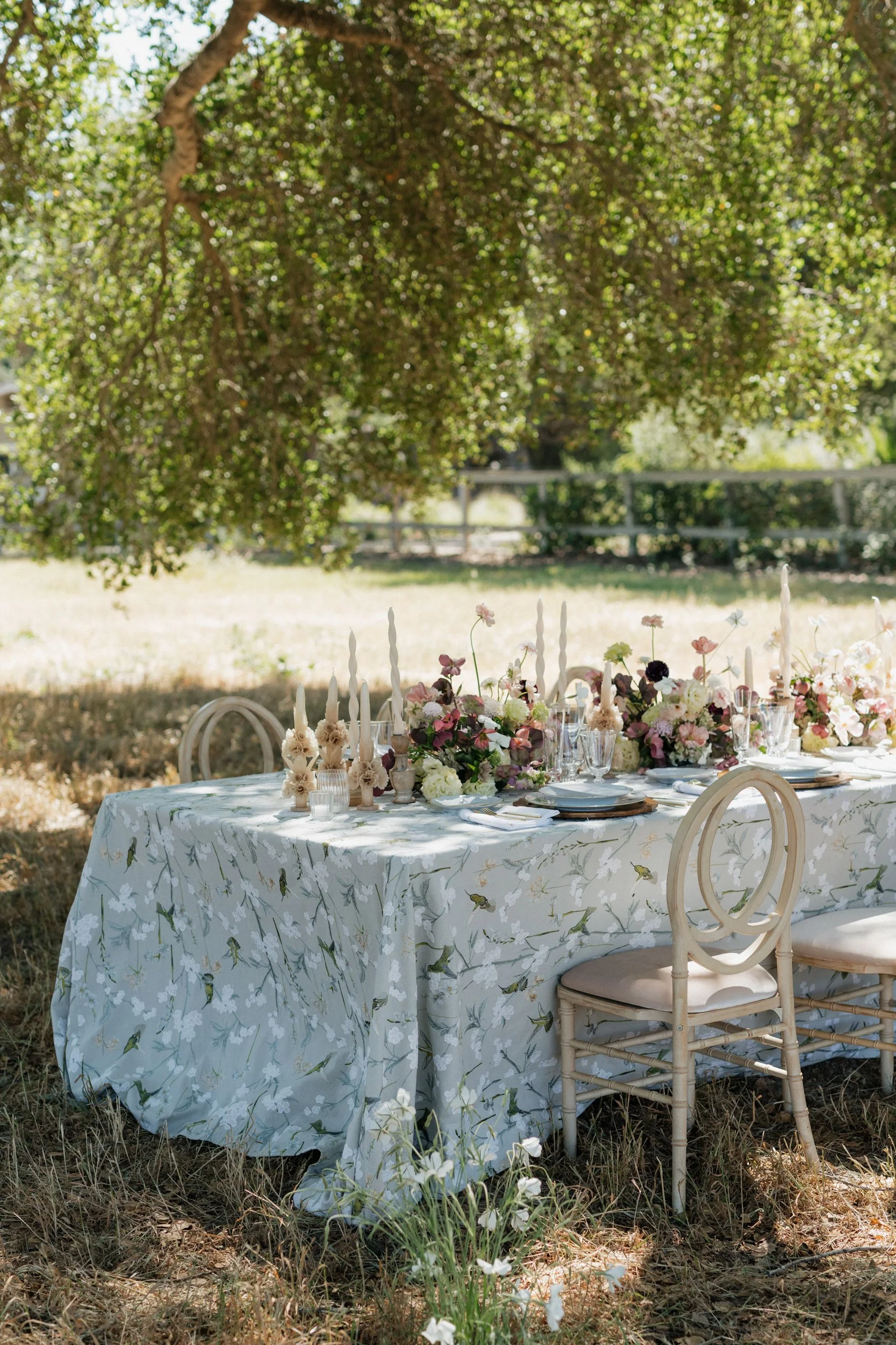 los-olivos-intimate-wedding-oak-tree-dinner-21.jpg