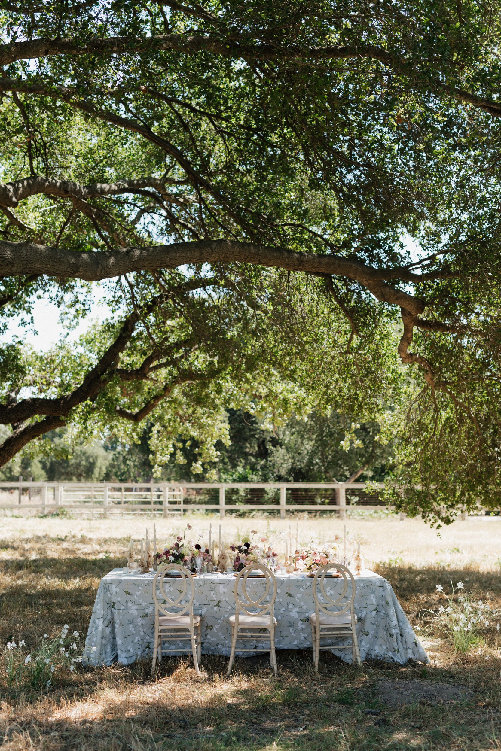 los-olivos-intimate-wedding-oak-tree-dinner-22.jpg