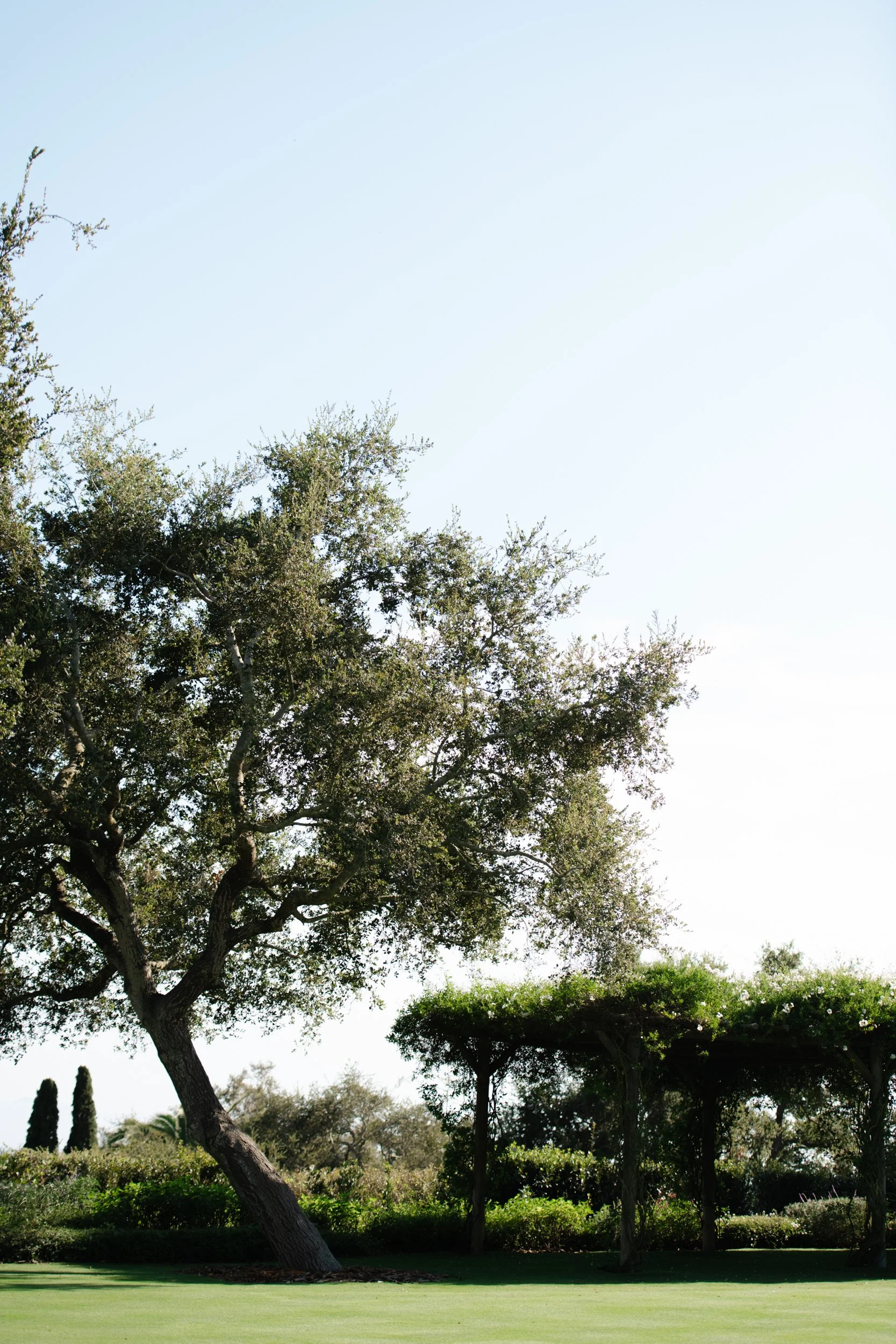 San_Ysidro_Ranch_Proposal_Elopement_Photographer-1.jpg