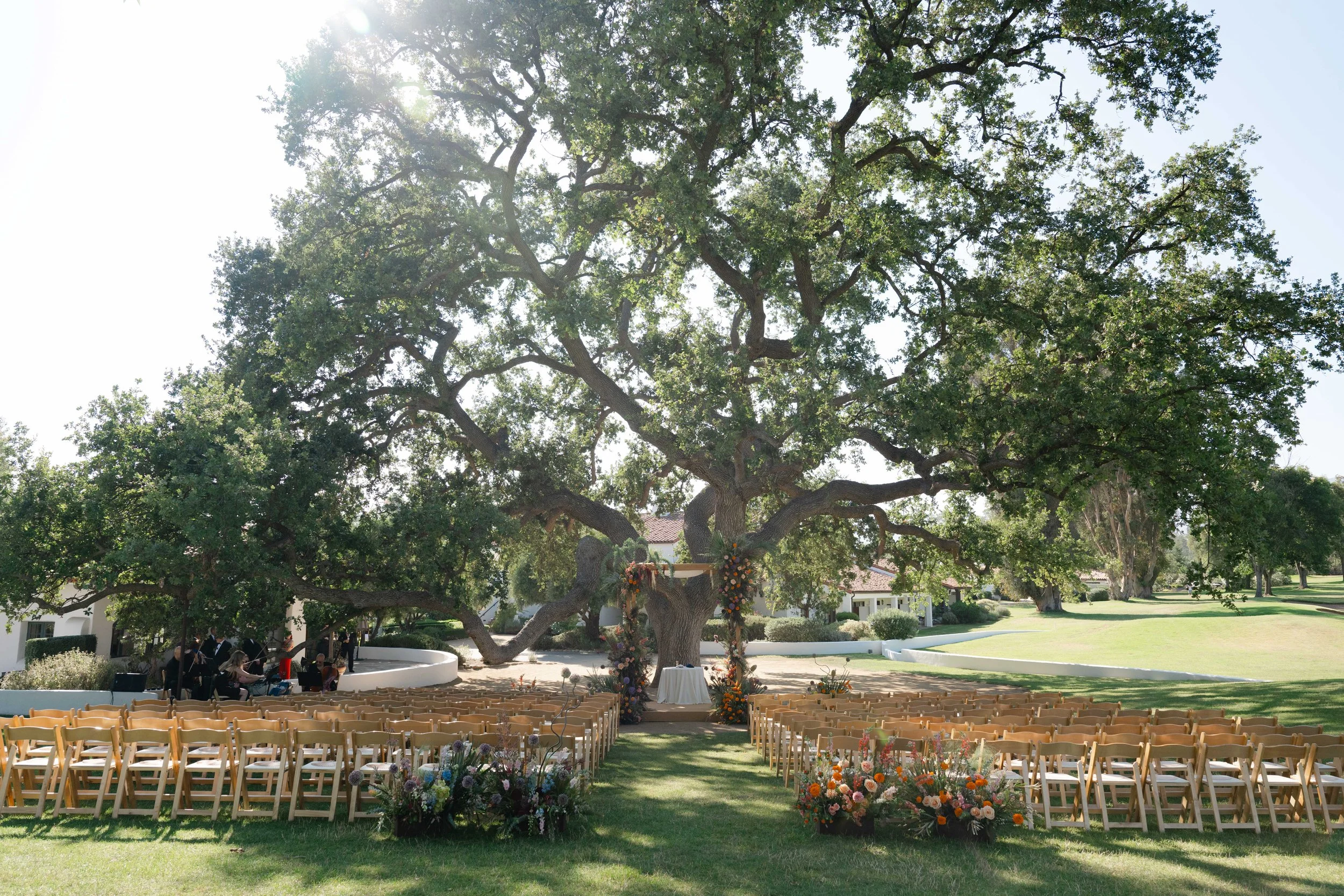 Wedding-50.jpg