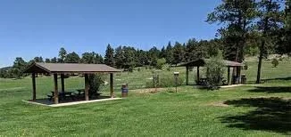 evergreen picnic.jpeg