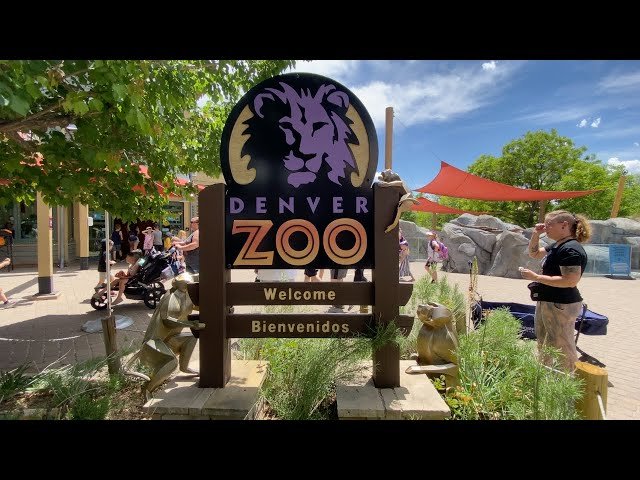 Denver Zoo Trip