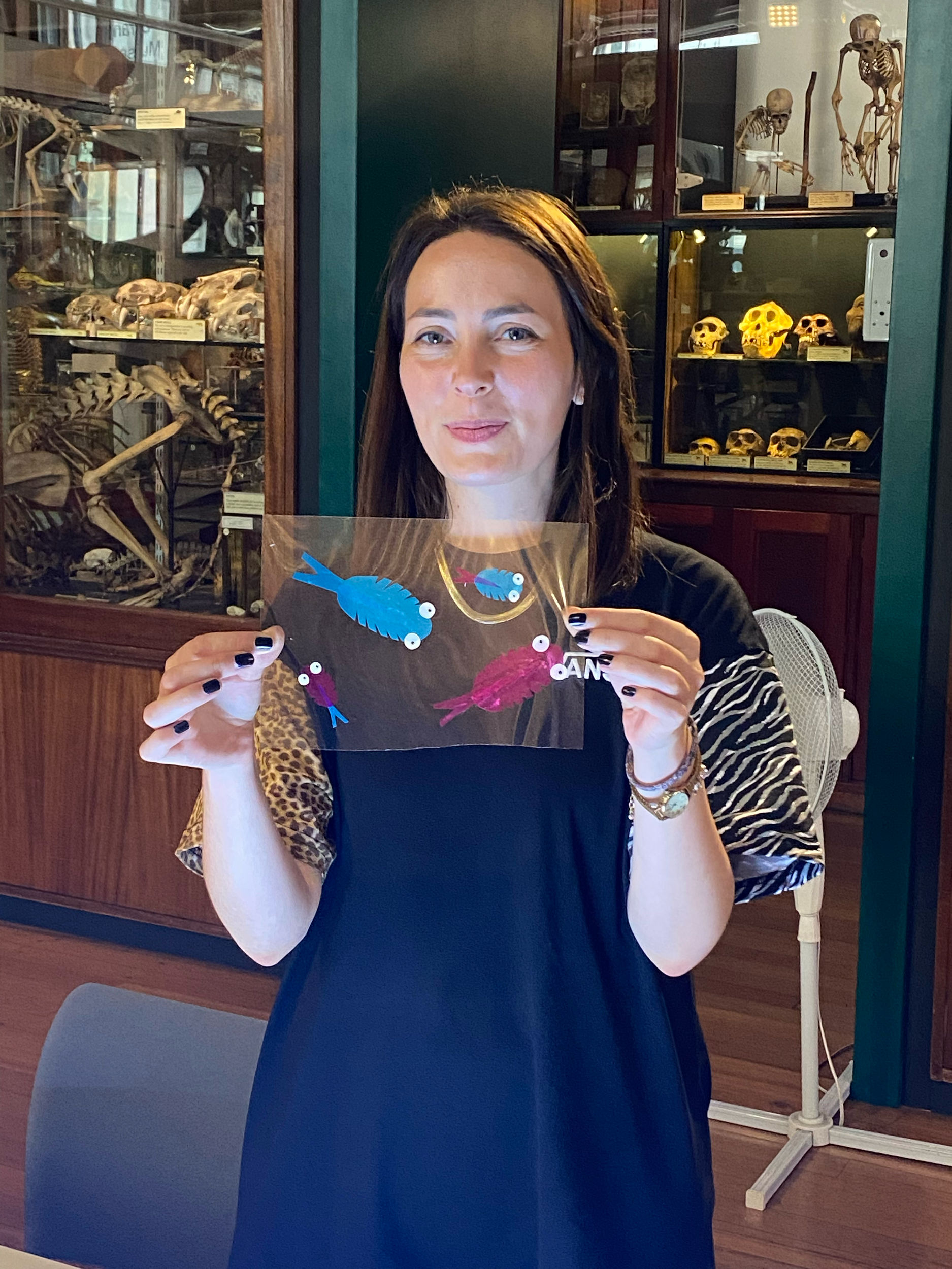 Micrarium Masterpiece at The Grant Museum of Zoology