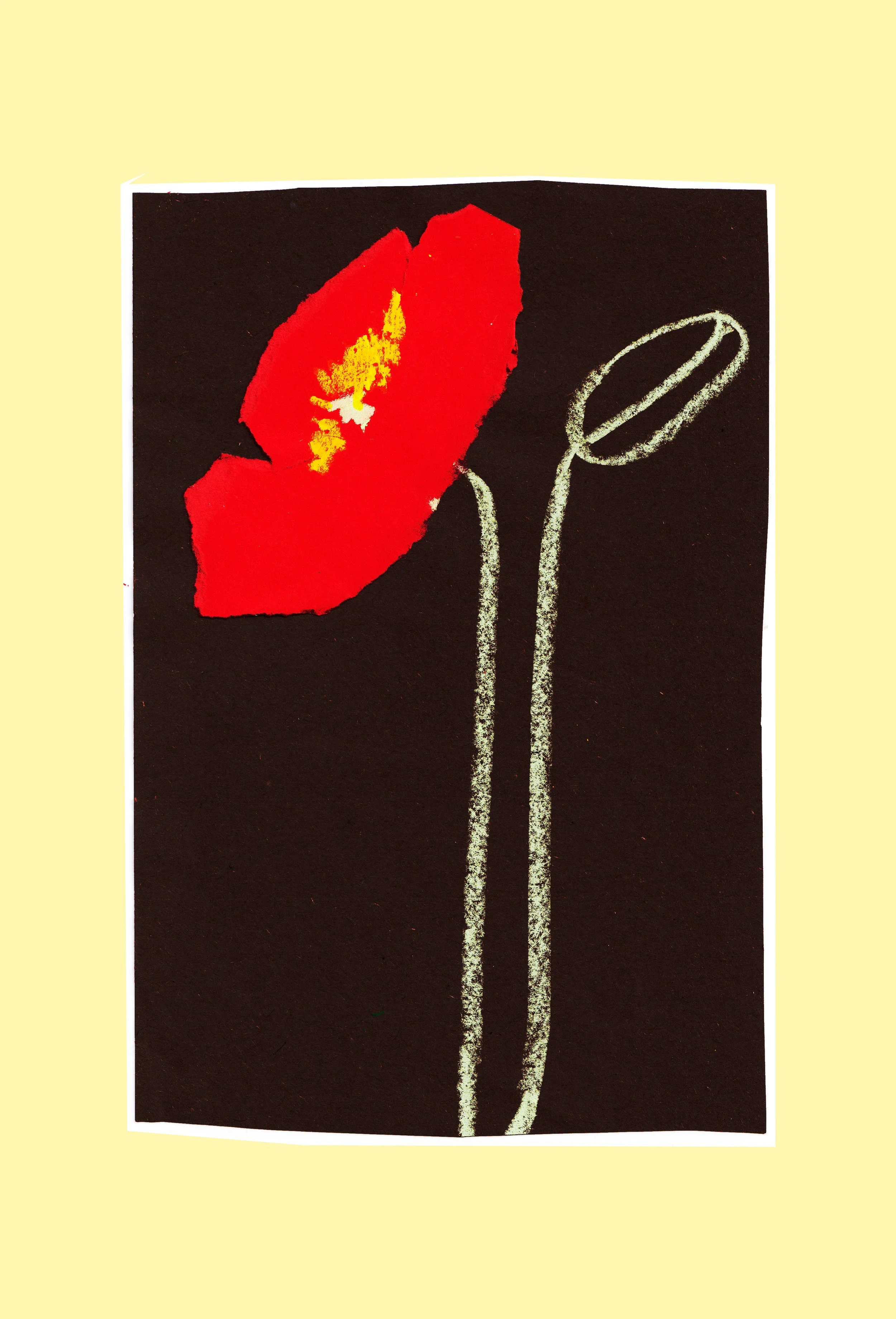Poppy collage