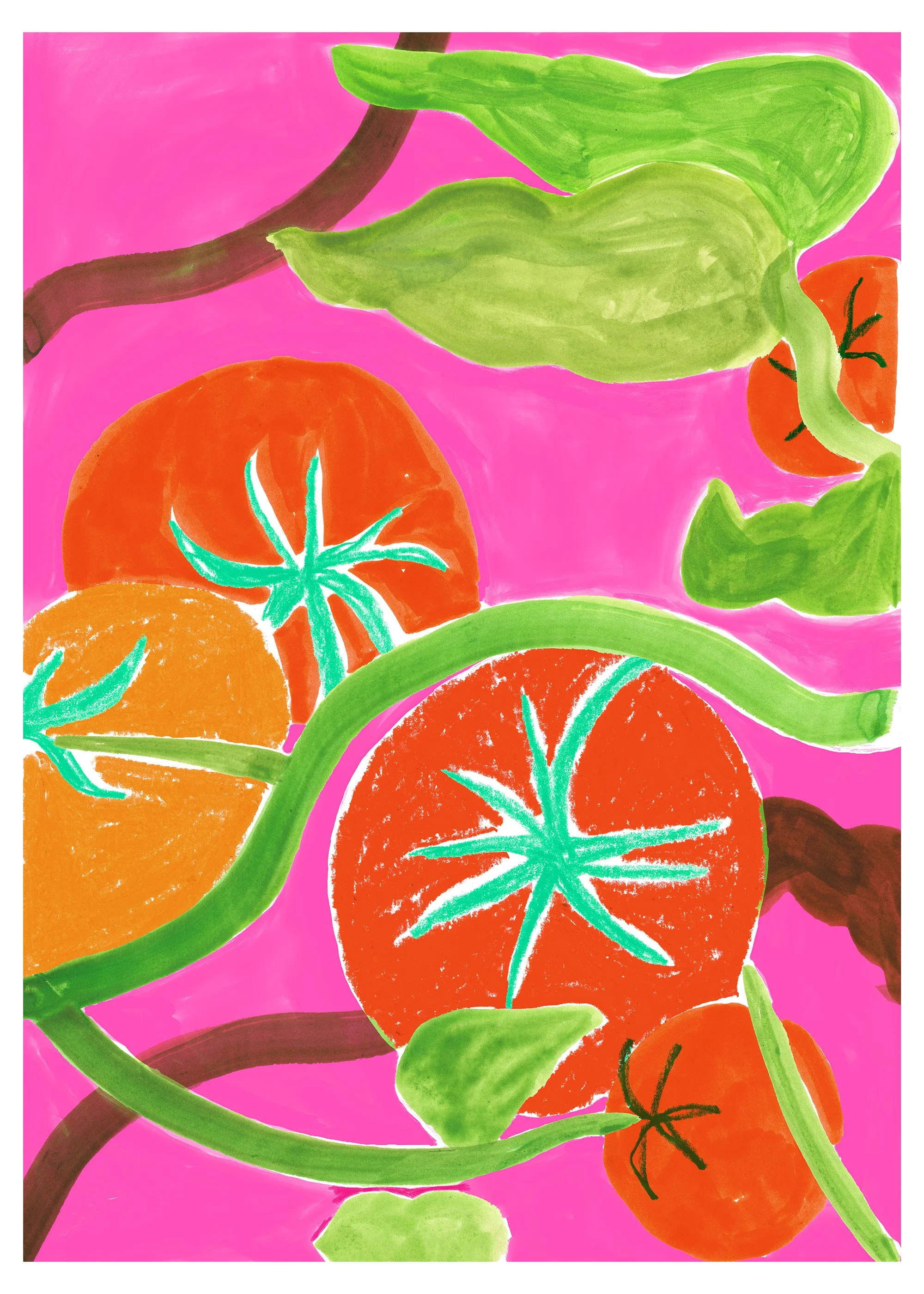 Tomato vine illustration with pink background