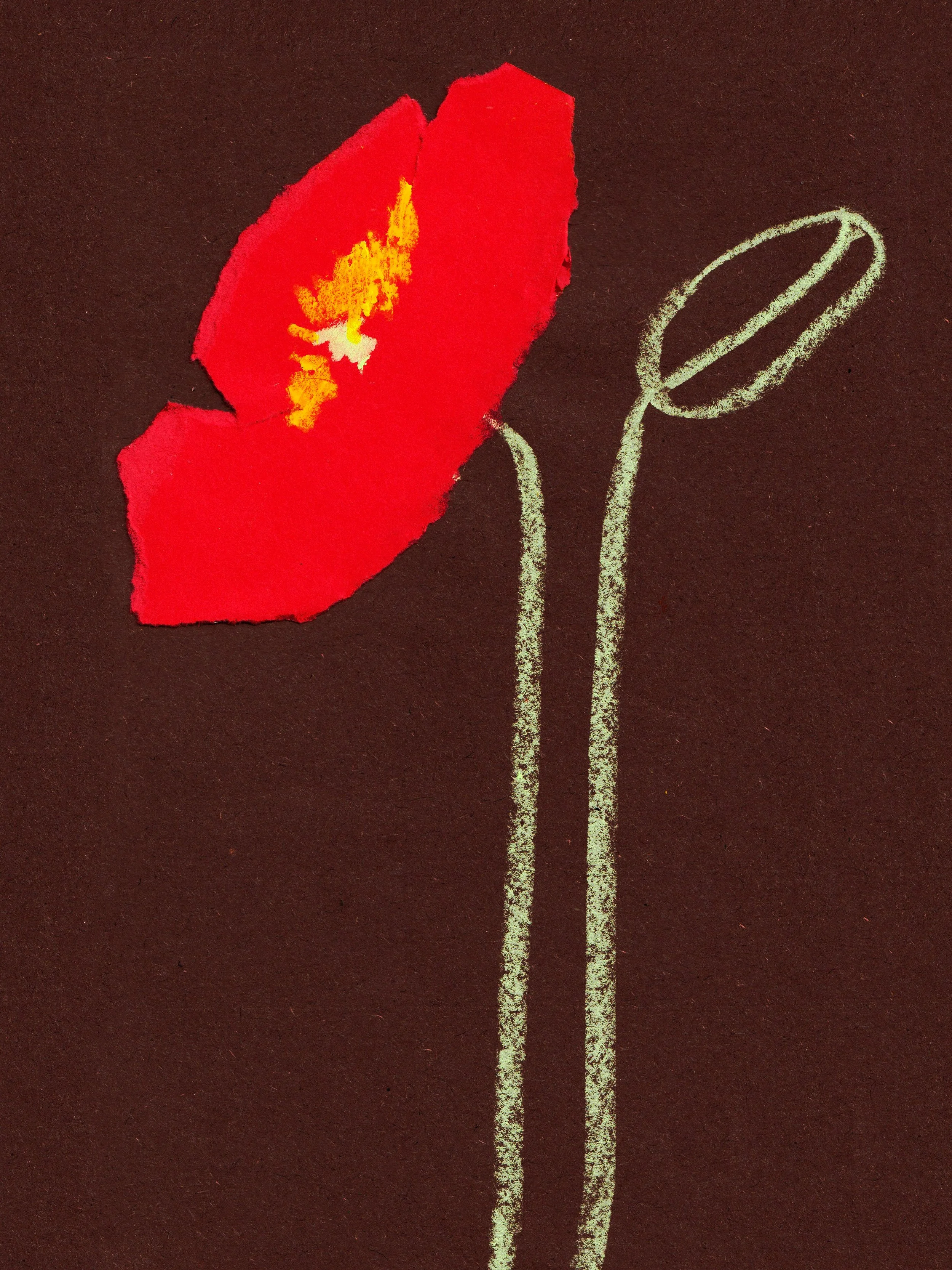 Poppy illustration