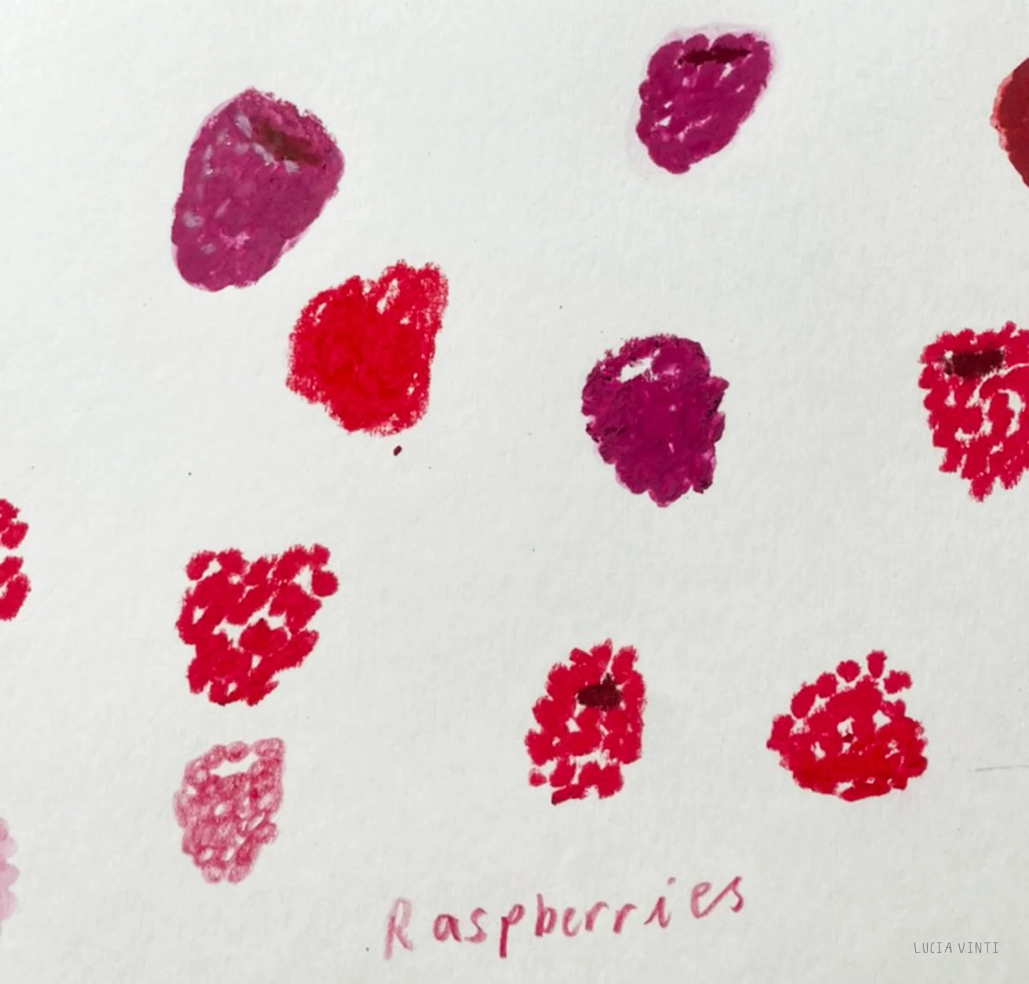 Raspberry illustrations in different mediums