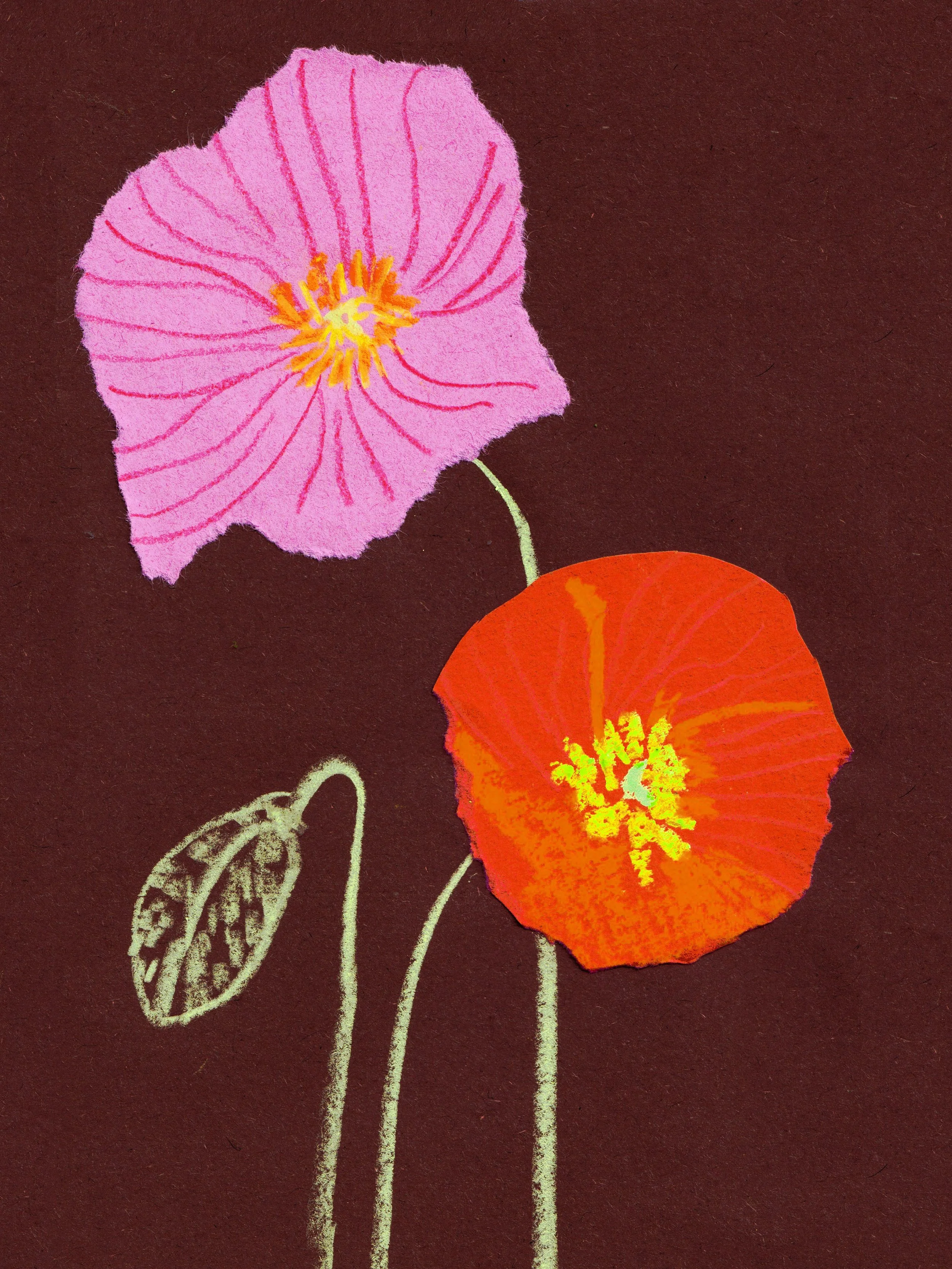 poppies 2.jpg