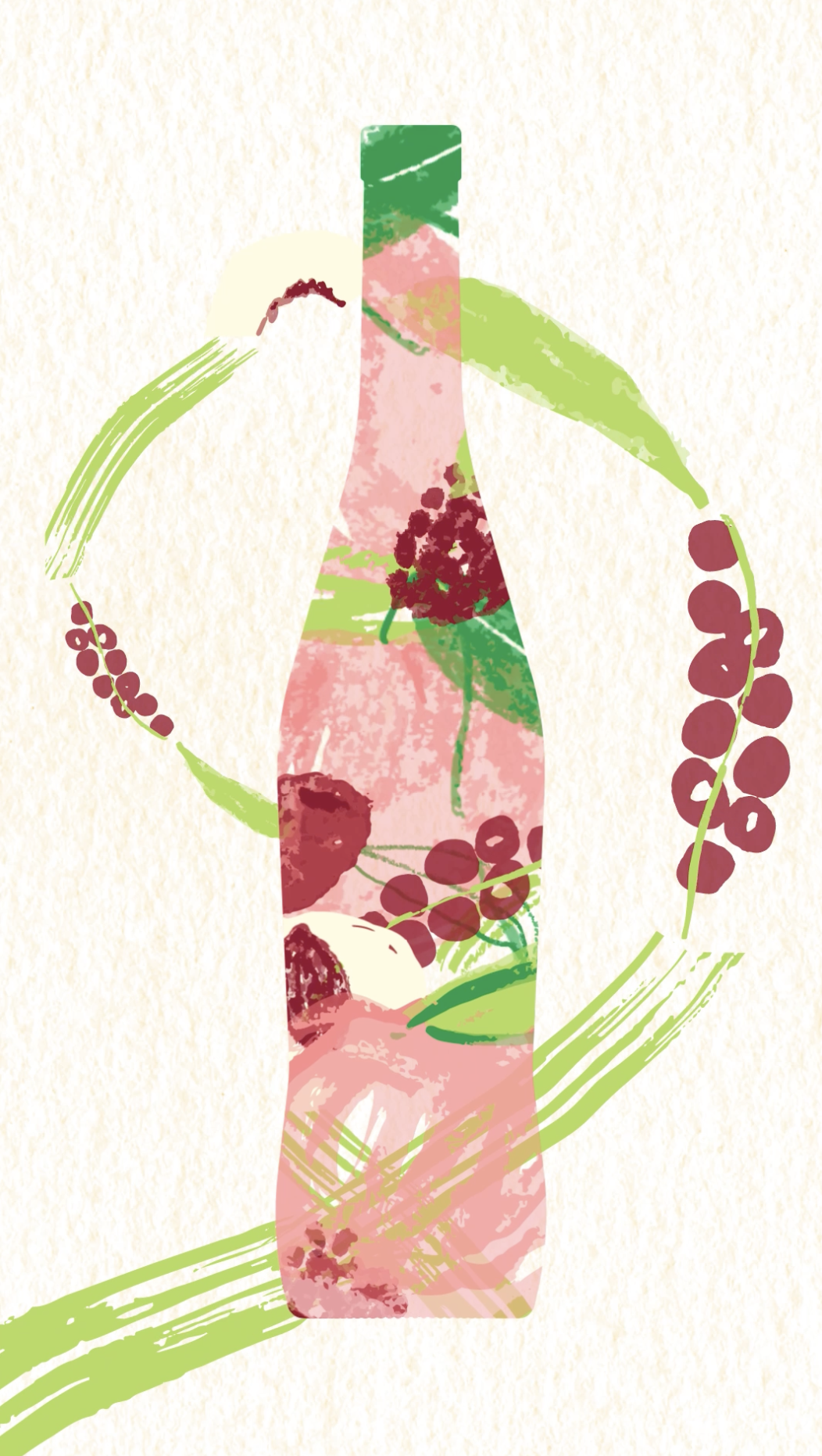 Illustrations for Minuty limited edition 2026 - peaches and red berries