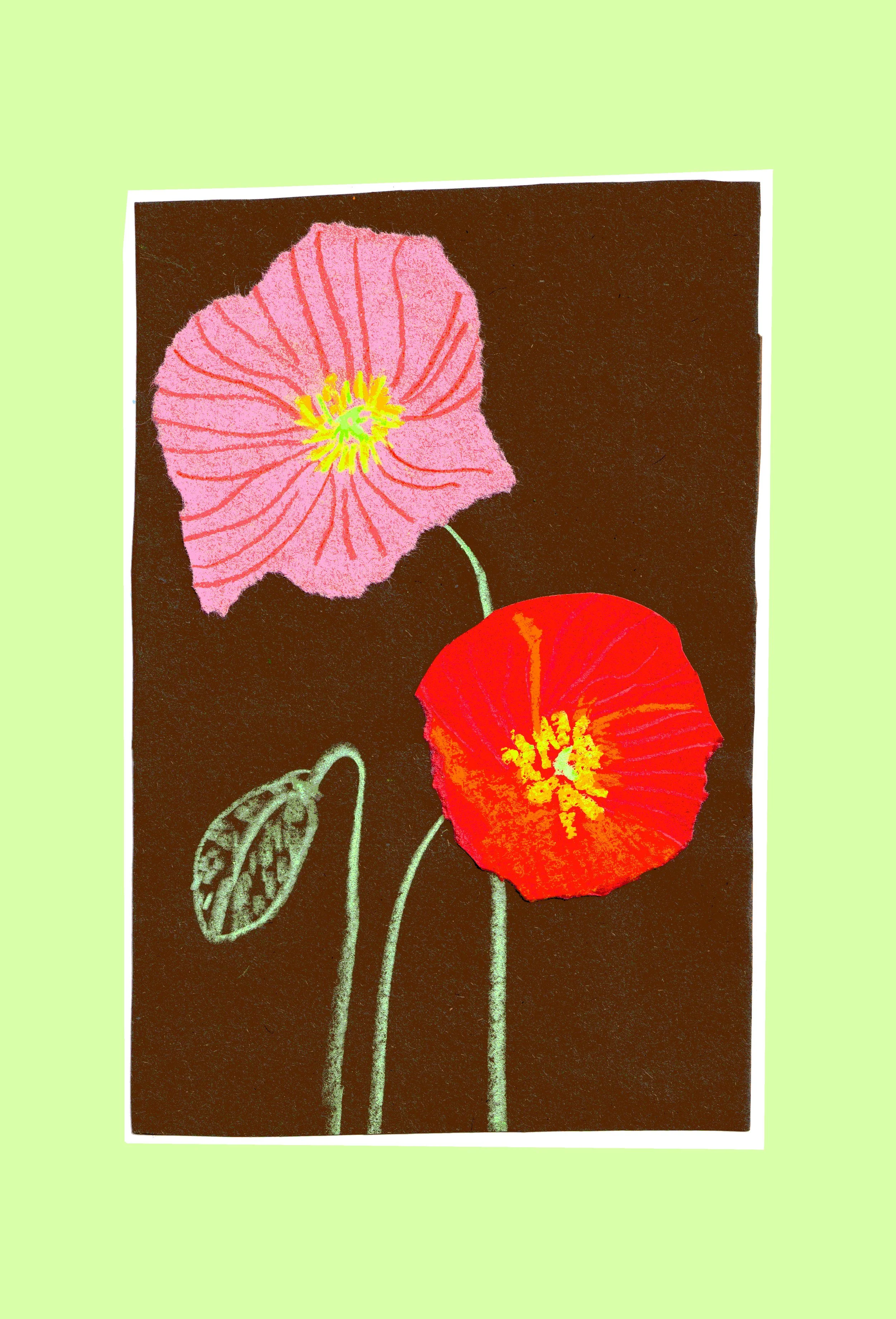 Poppy collage