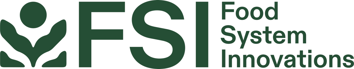FSI