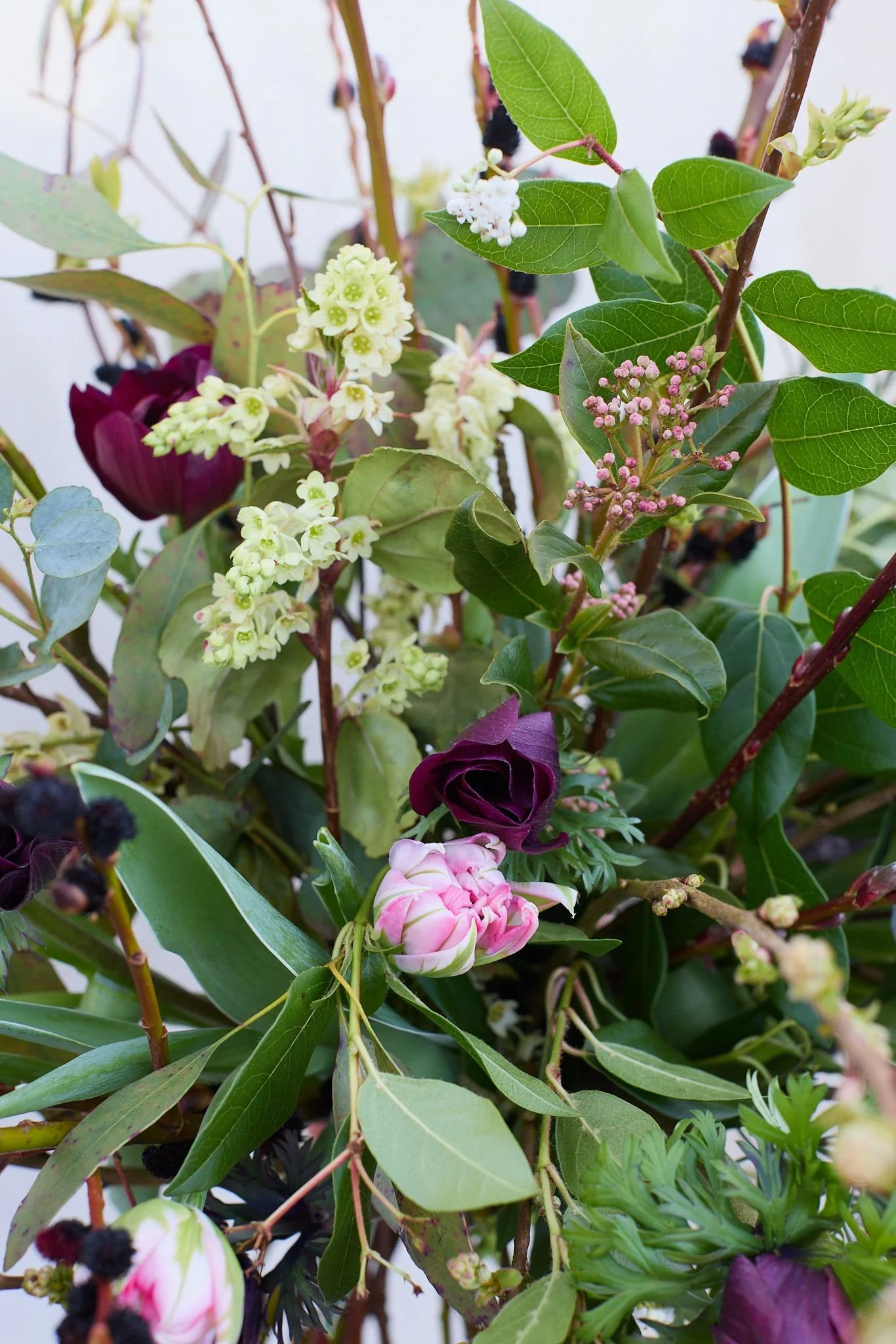 PHOTO-2025-03-06-08-43-19 4.jpg