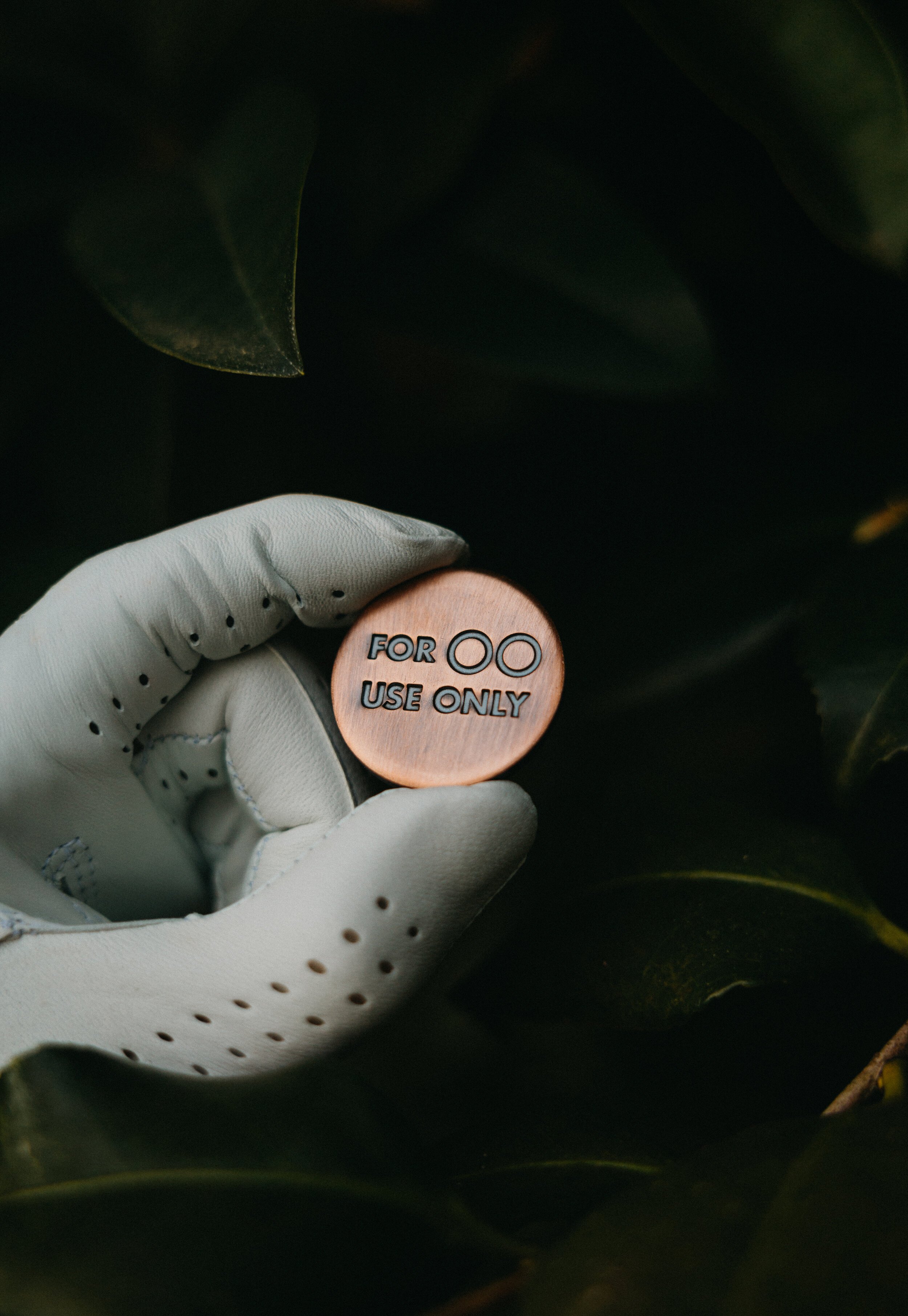 Golf Ball Marker