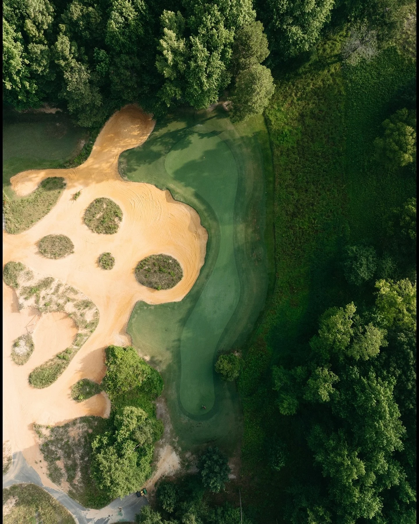 Tobacco Road: A Gallery of Greens 🎨