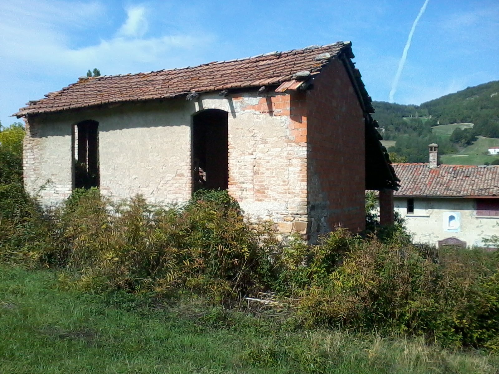 IMG_20120918_133657.jpg