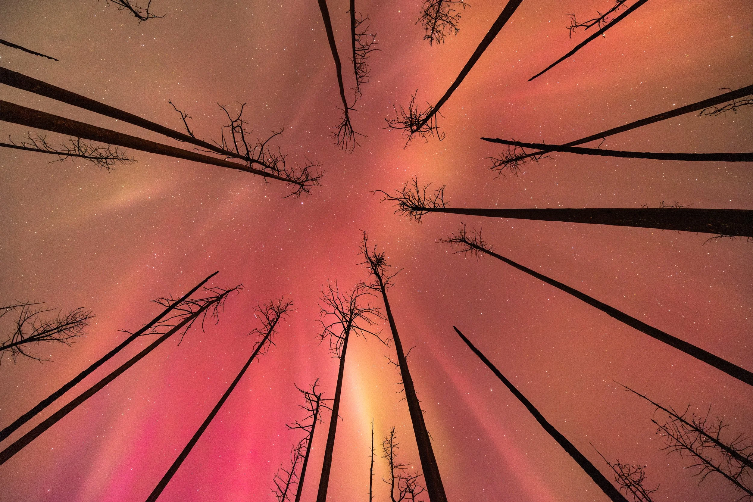 Fire in the Sky.jpeg