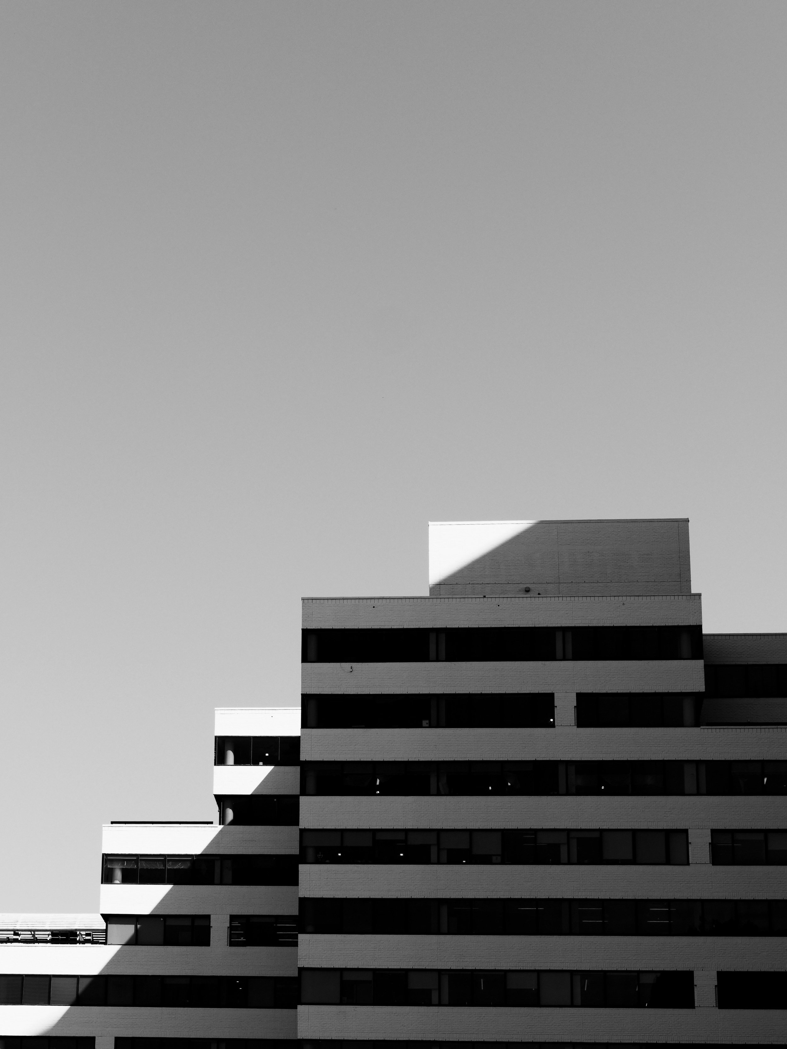 The Authority Gap: Why Visibility Fails When the Stakes Are Real