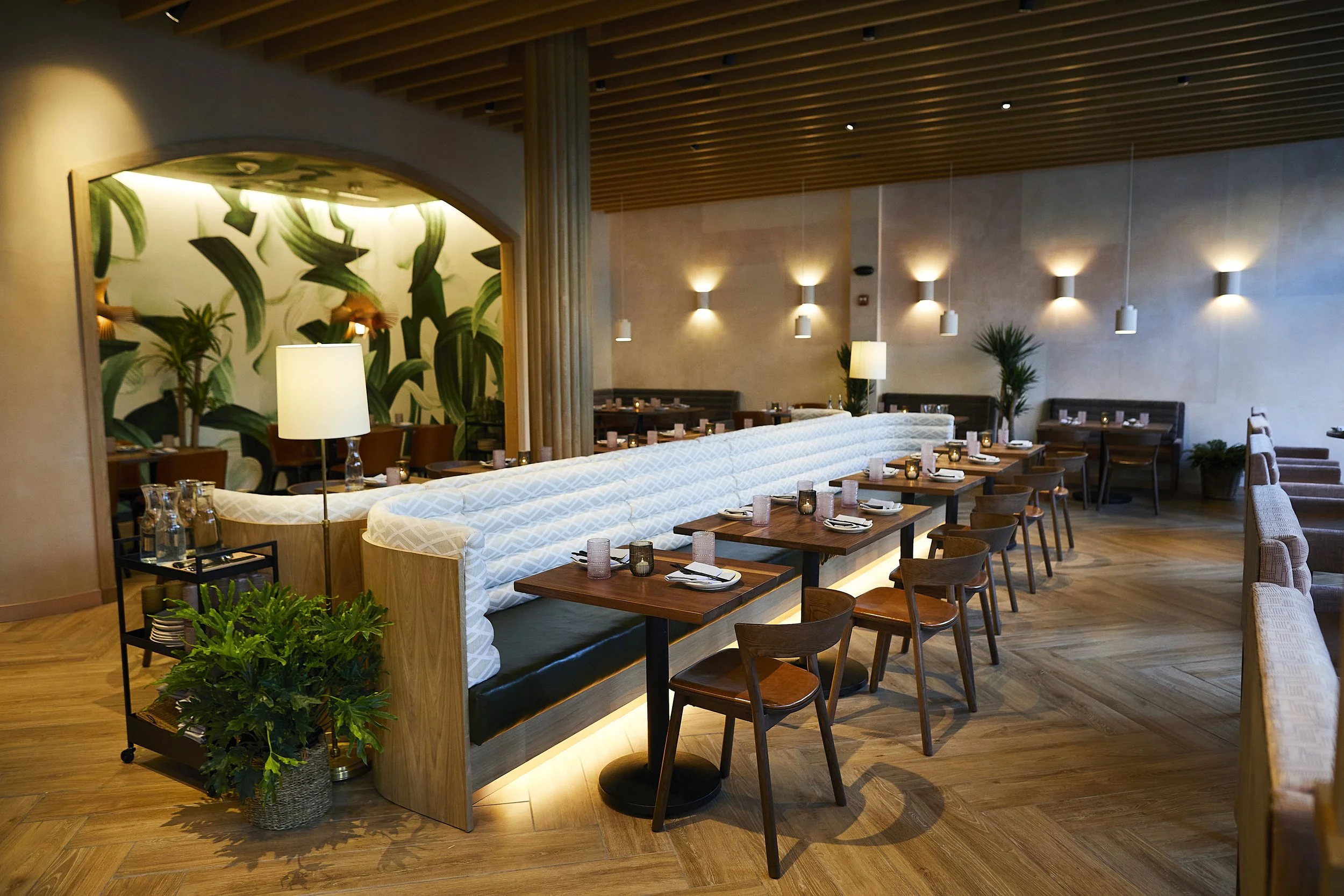 INTERIOR_WIDE_3_PLANTABethesda_Deb.jpg