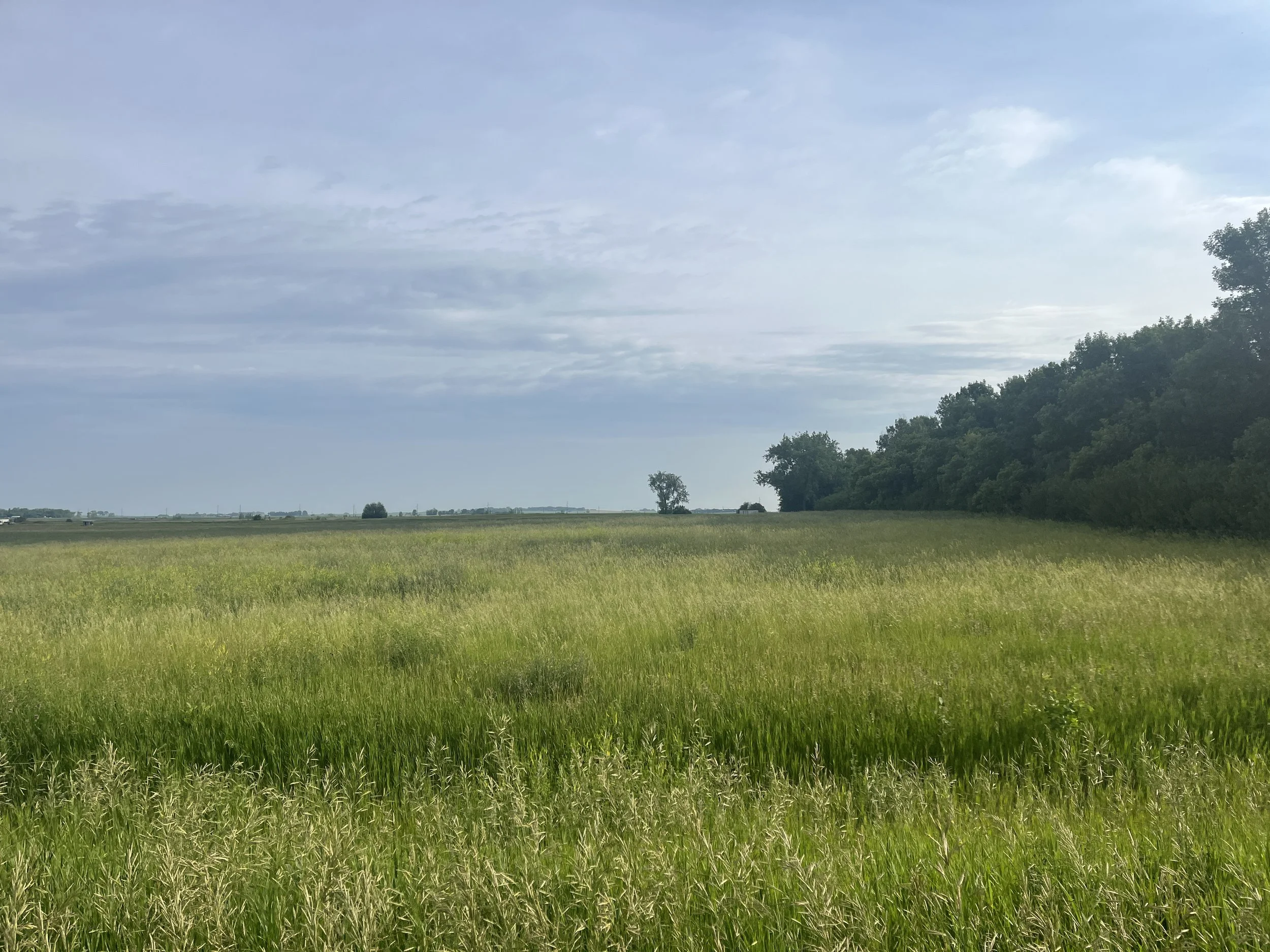 7667 51st St NE, Devils Lake, $60,000 (Copy)