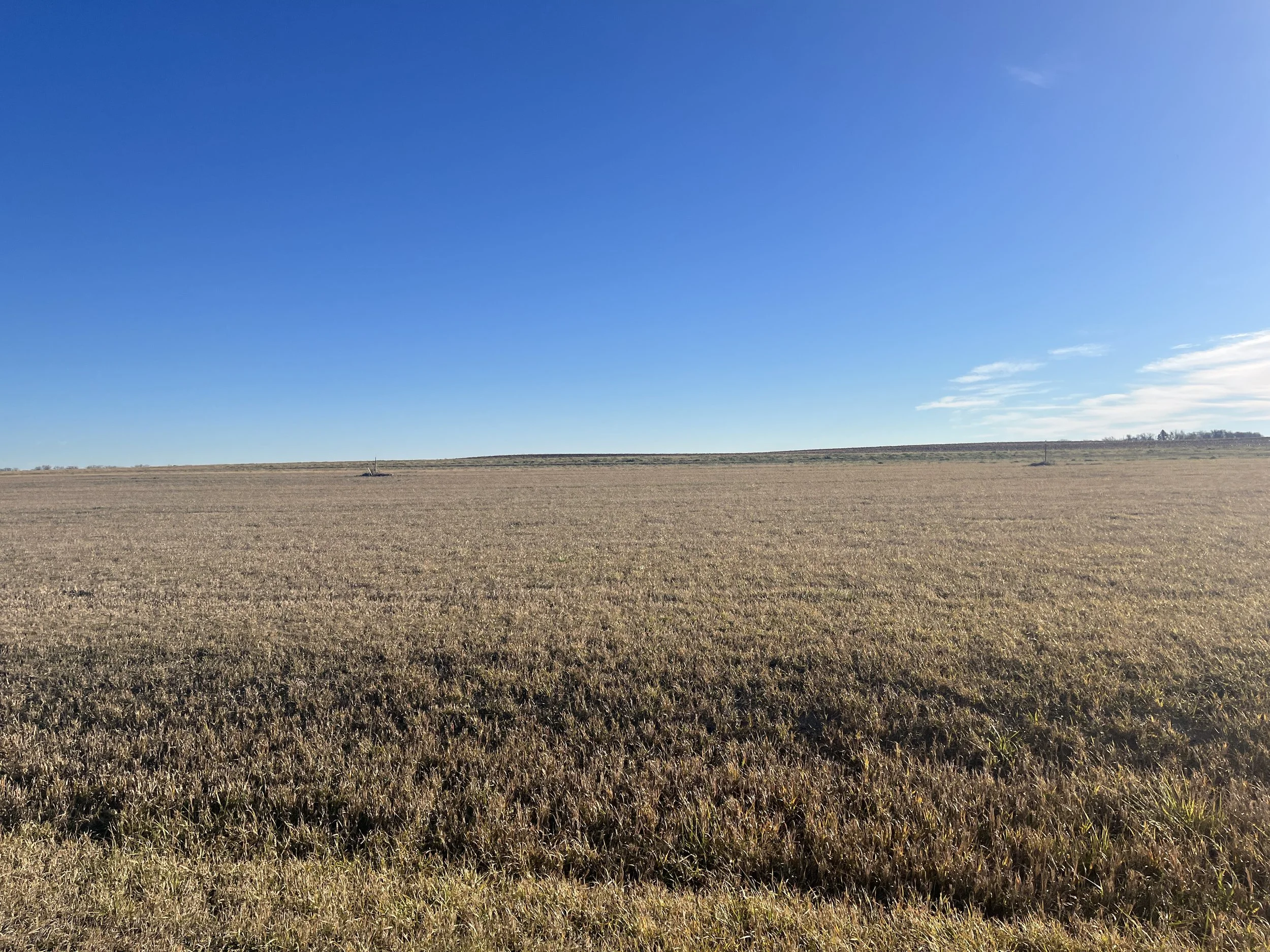 409 James Pkwy, Devils Lake, $29,900