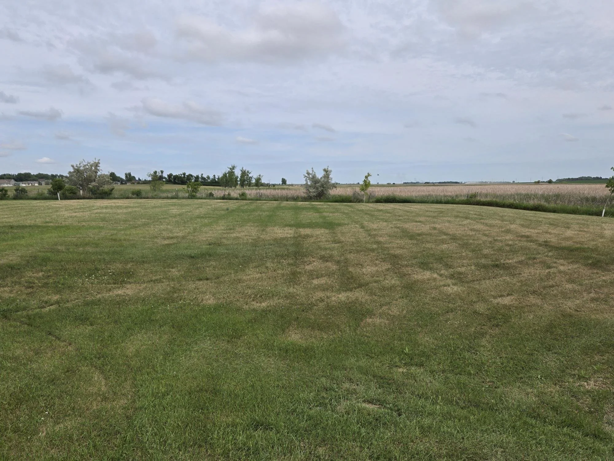 Backyard 2.jpg