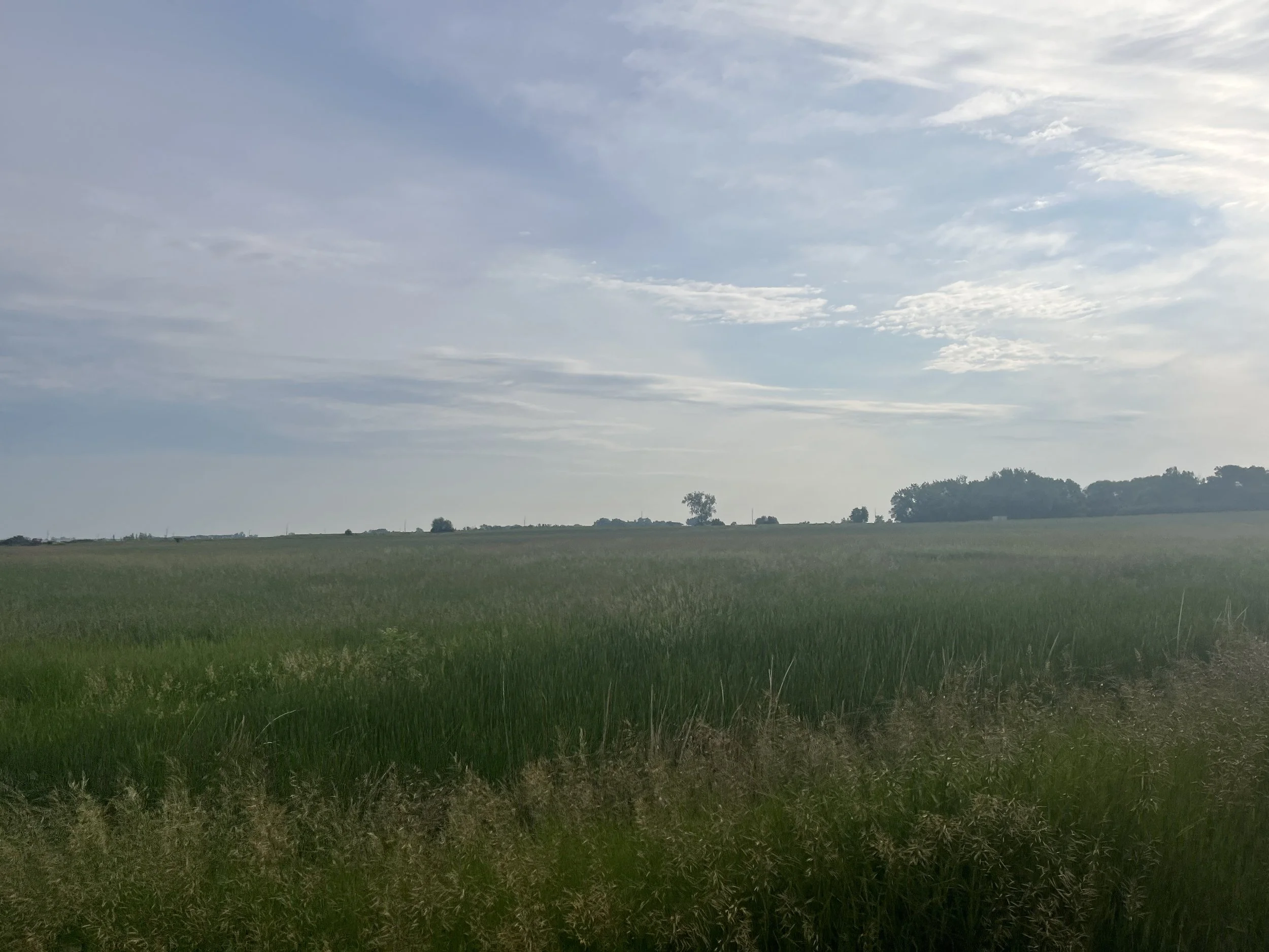 821ACDBD-F36A-4DEA-A76B-C49A5CD30275.jpeg