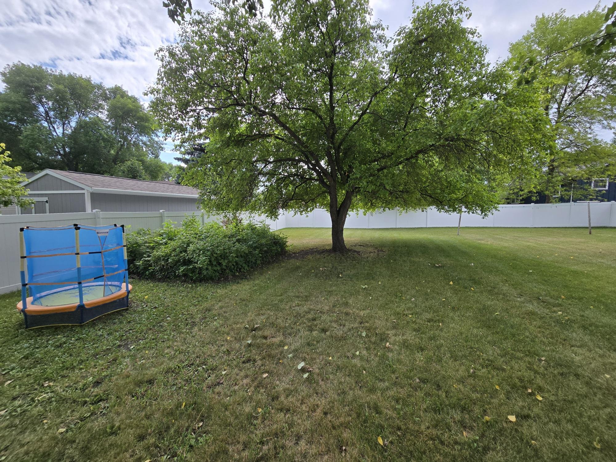 Backyard 3.jpg
