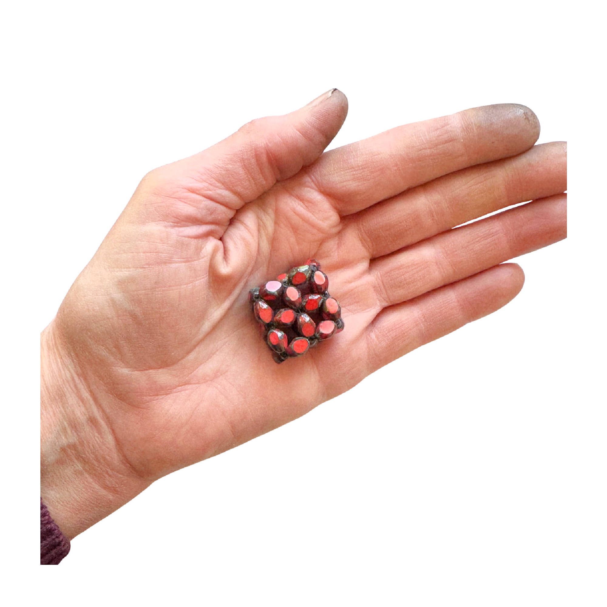 Coral-Edged Windowpane Image 4.png