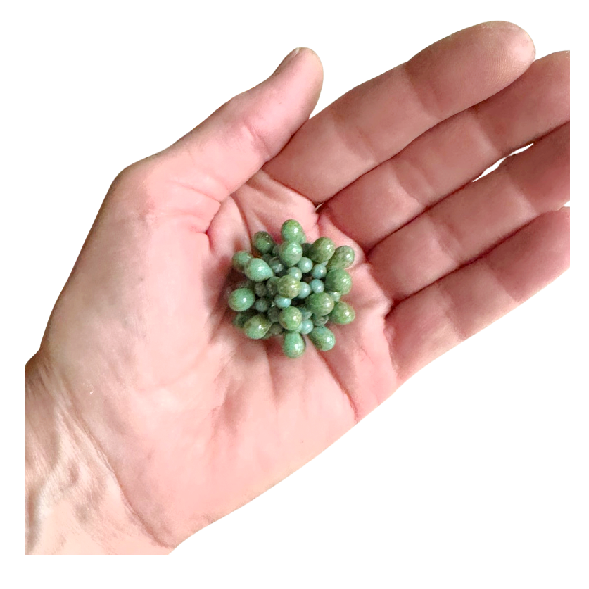 Sea Green Knobby Sphere Image 2.png