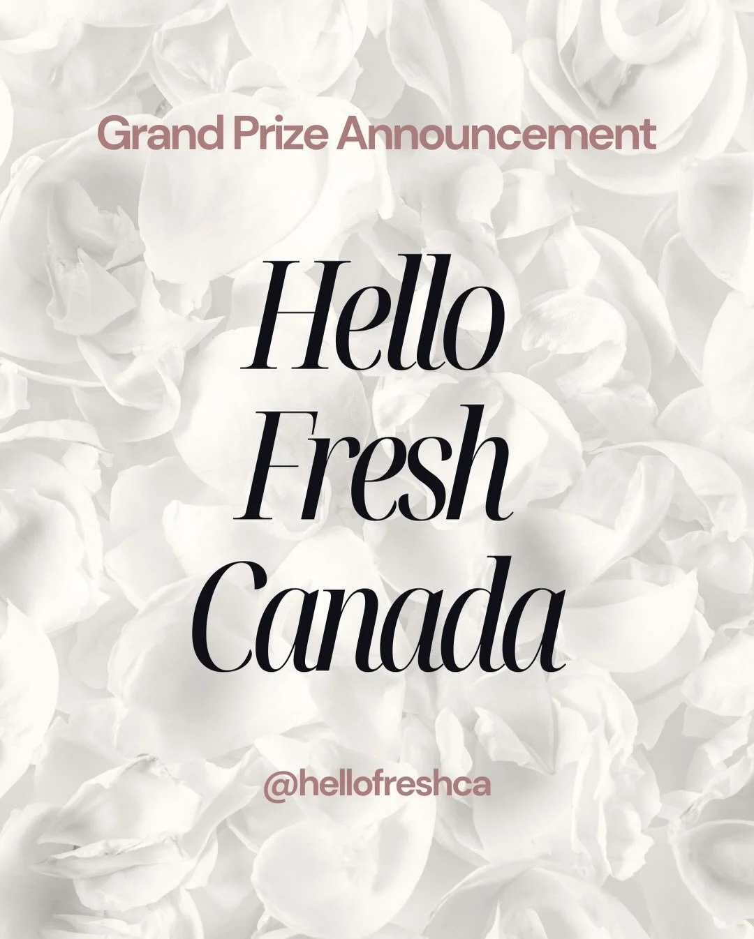 ✨ Grand Door Prize Alert! ✨
 
One lucky attendee will win a $1,000 HelloFresh grand prize. That&rsquo;s three months of curated meal kits made with fresh, quality ingredients. 🥗🍽️
 
Think easy prep, exciting recipes, and stress-free dinners deliver