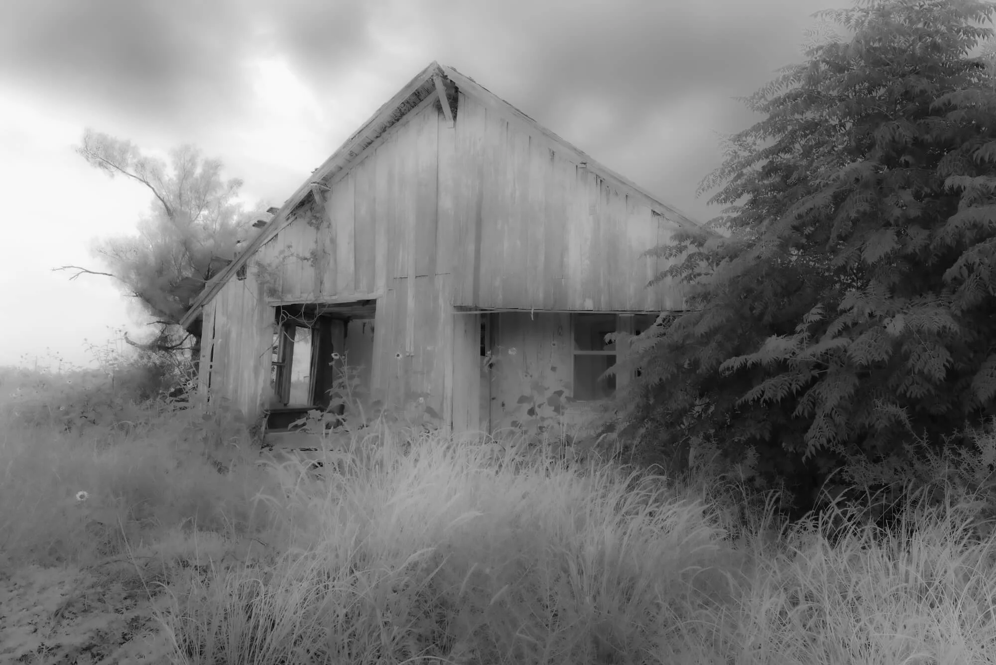 house.jpg