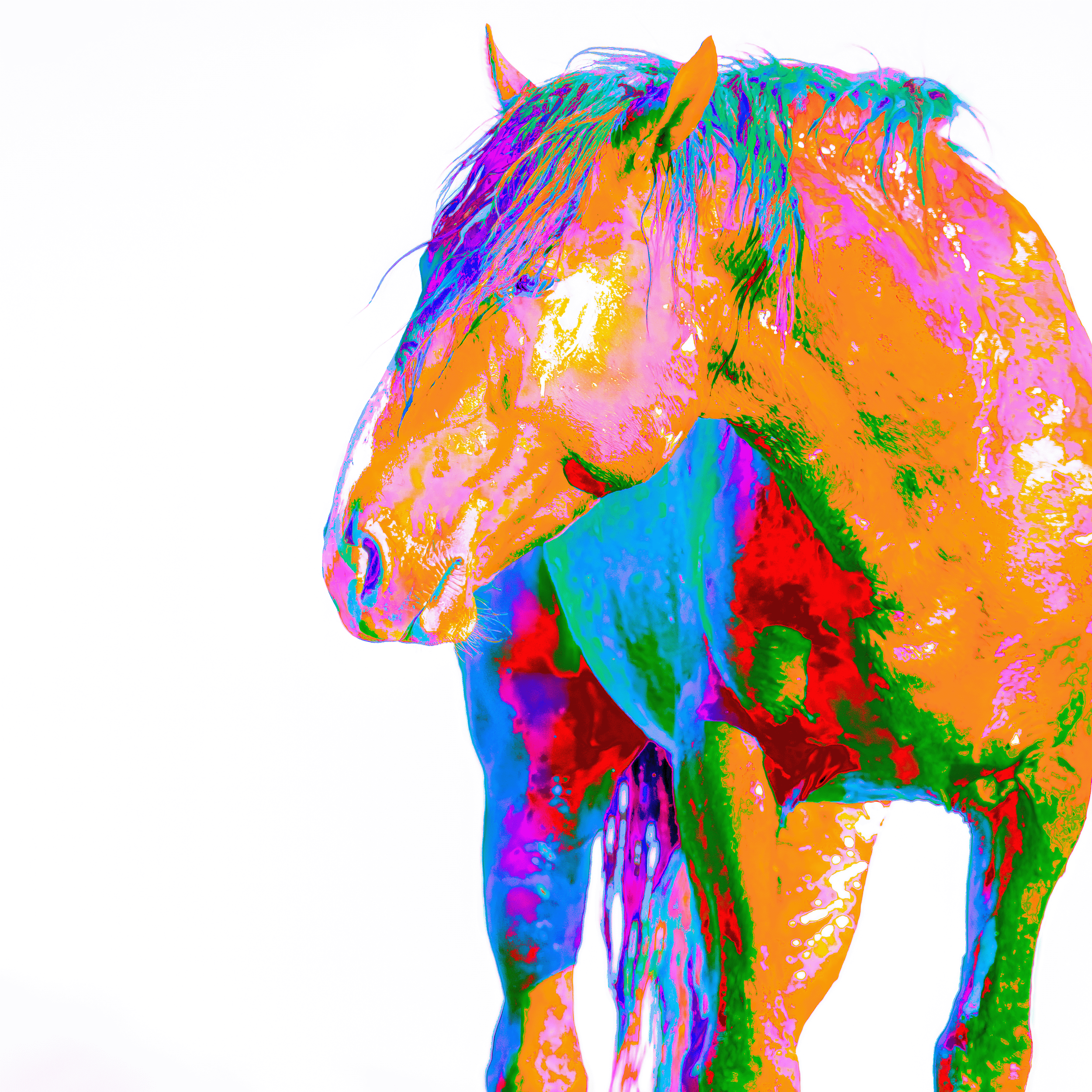 Primary.1070959E3.png