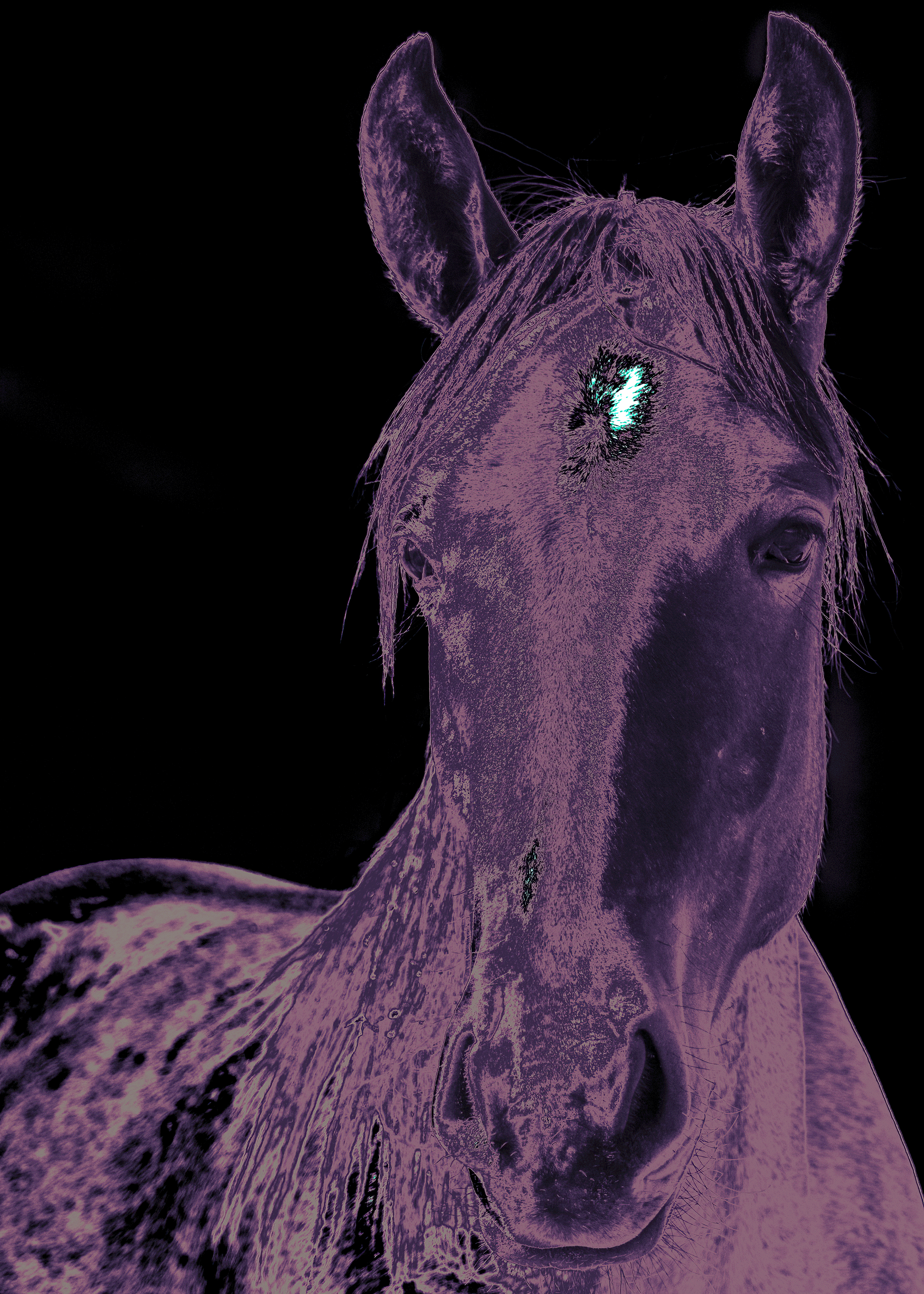 Primary.1080522E4.png