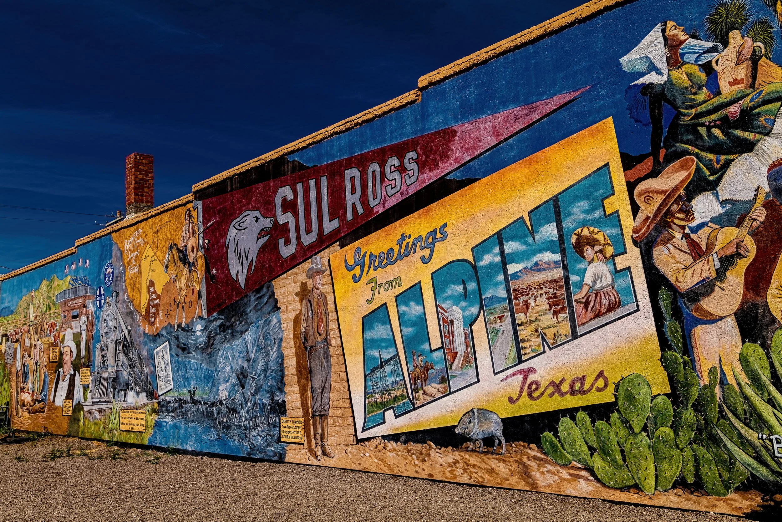 Cat.Terlingua1090861E.Website.jpg