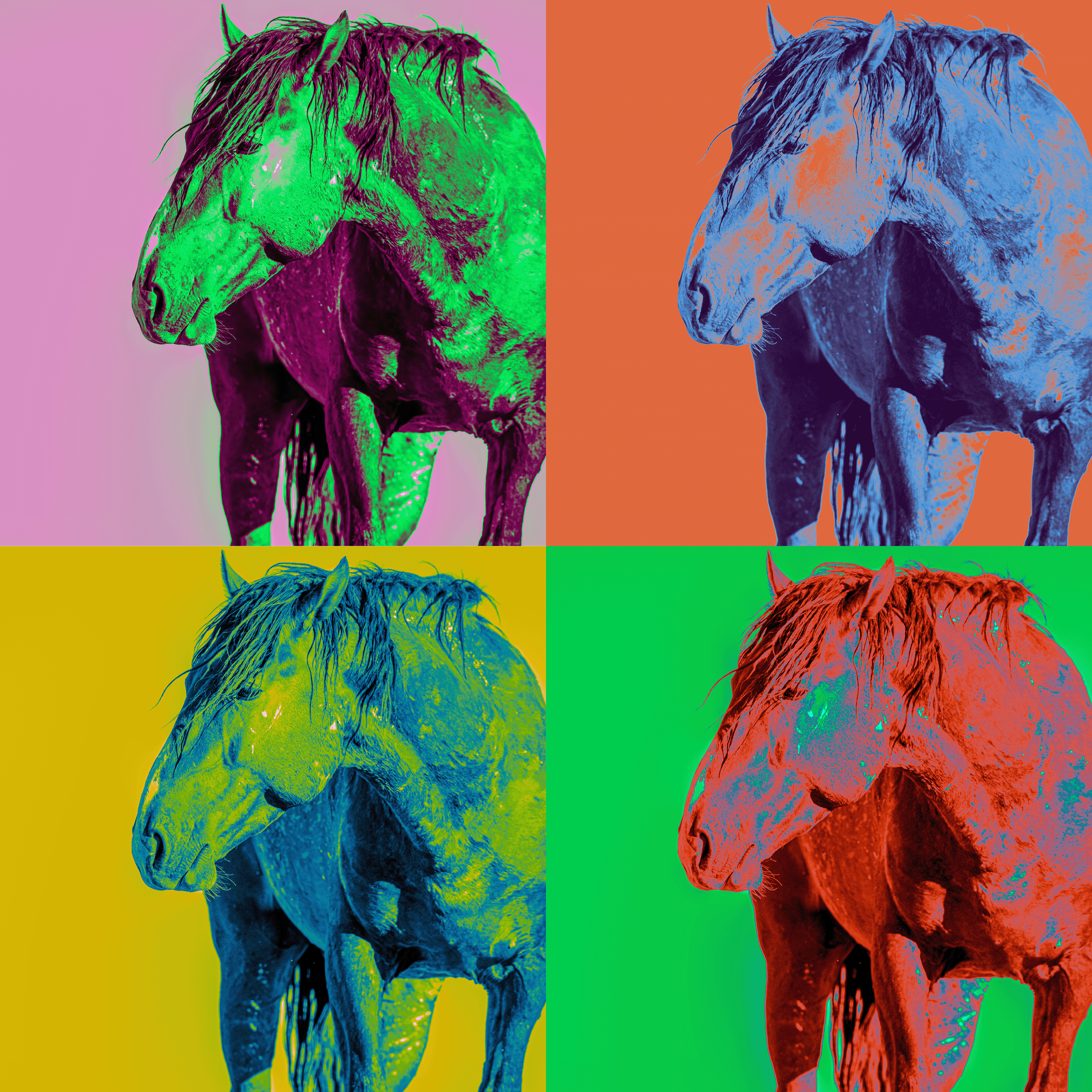 Horses 4Up - 1.png