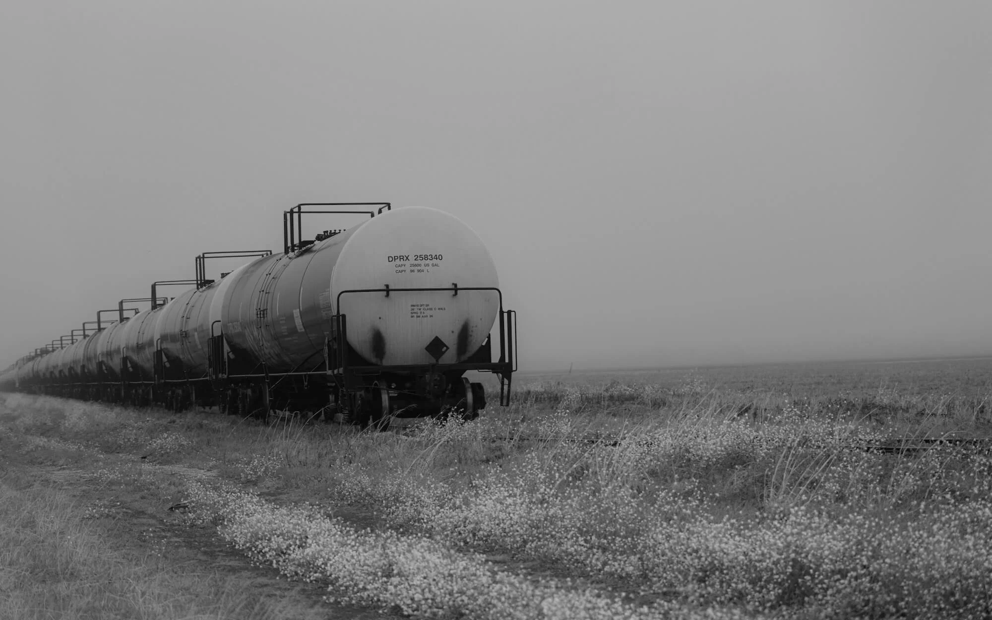 train-through-field.jpg