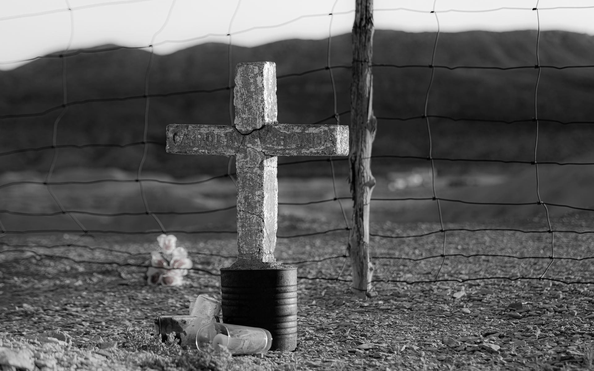 CAT2- Terlingua1090932E-.png