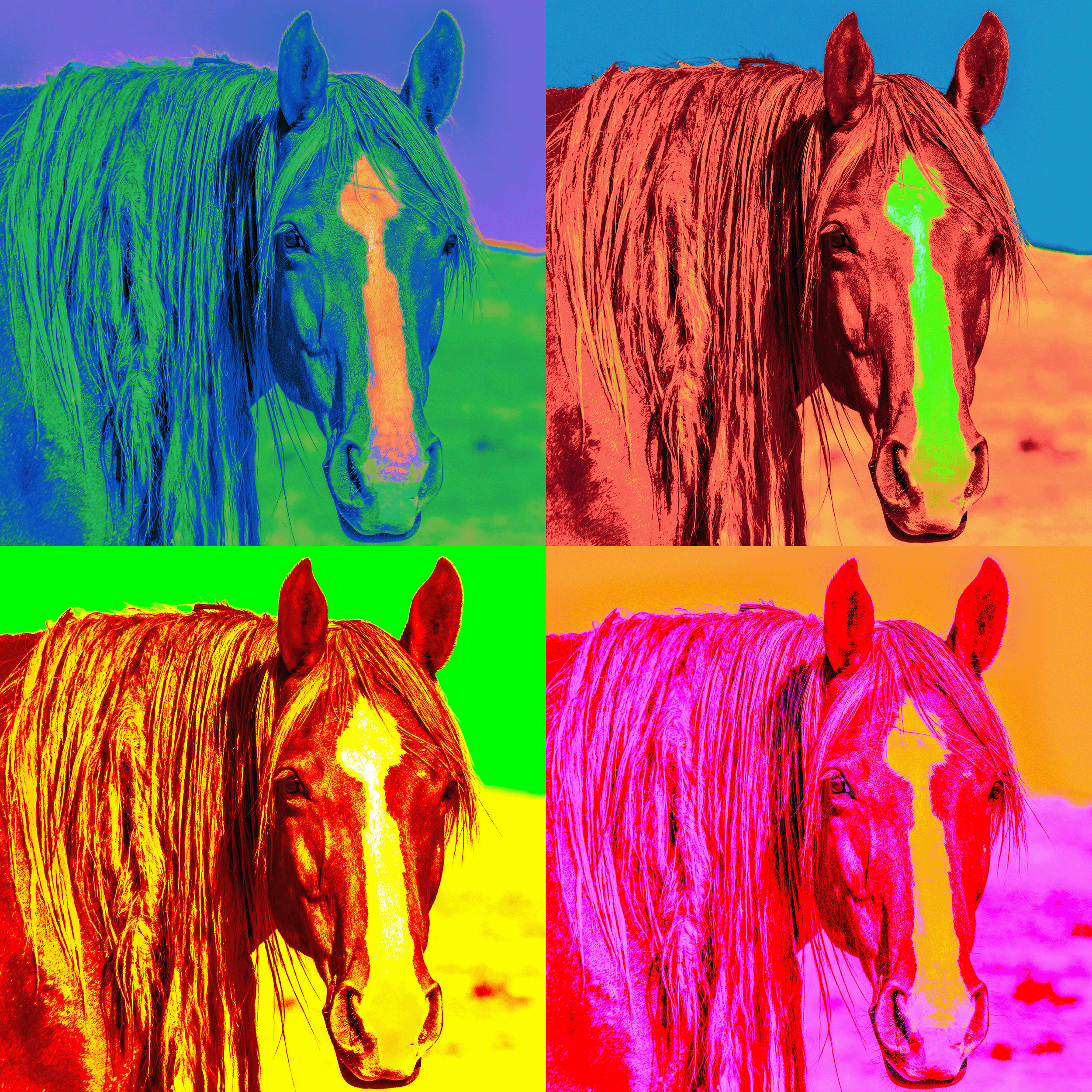 Pop Art horse copy.png