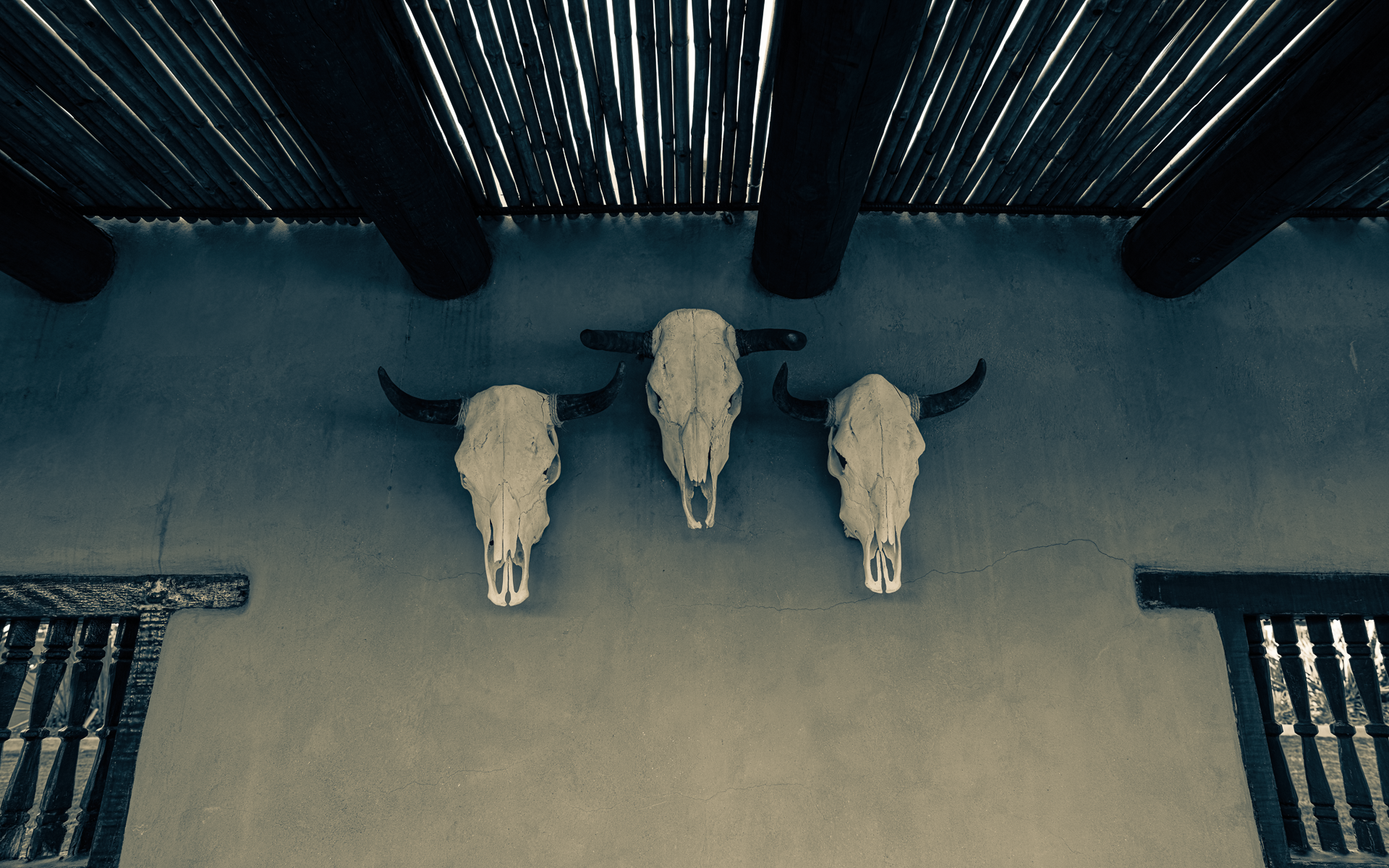 CAT2- Terlingua1010713E-.png