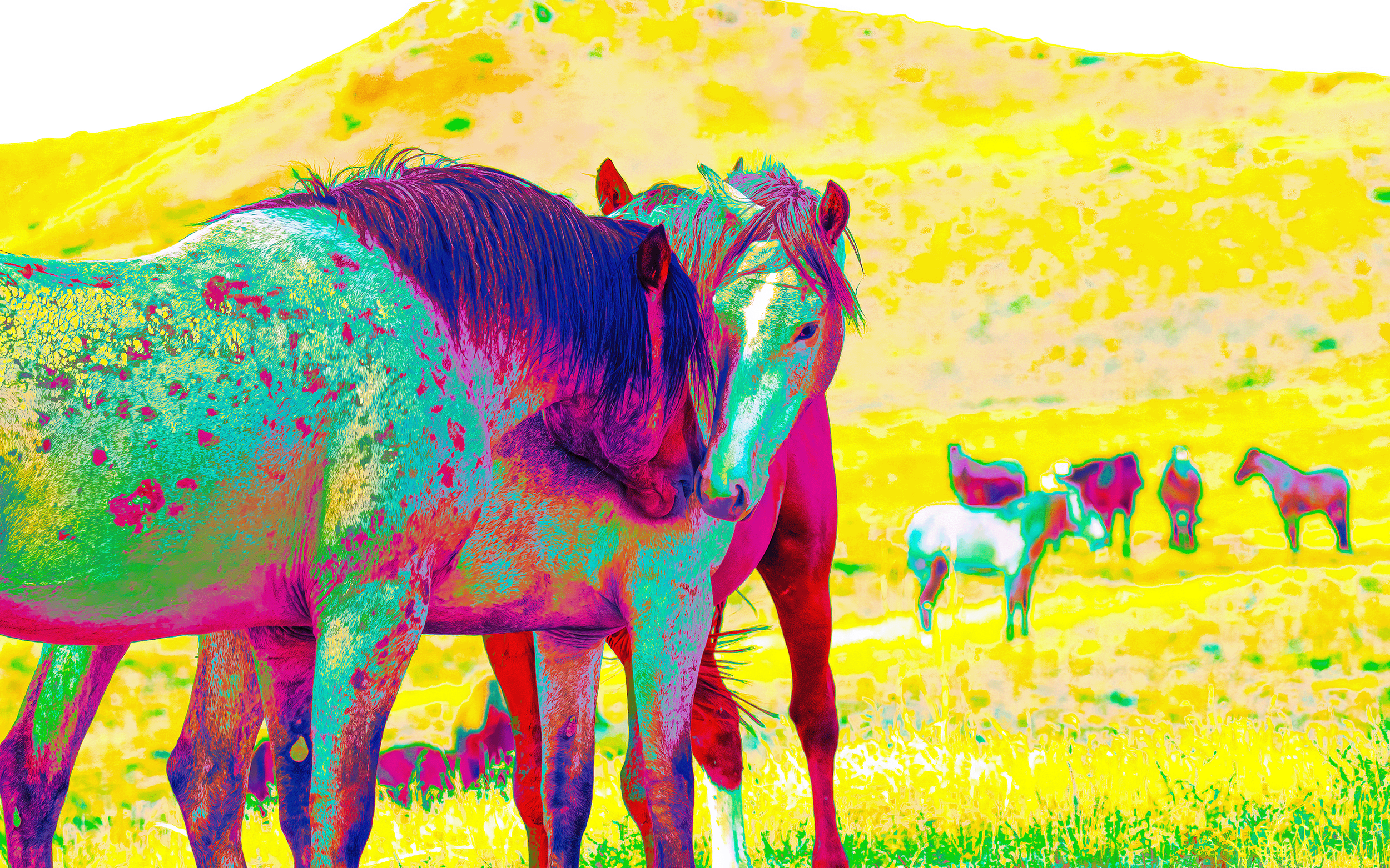Primary.1080640E2.png